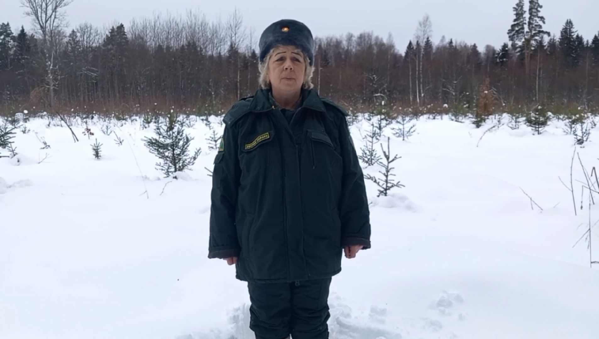 волоколамск, лесничий, елки, елочка, природа, эколог, экология,