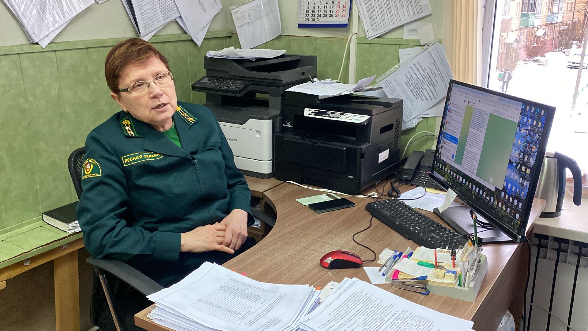 волоколамск, лесничий, елки, елочка, природа, эколог, экология,