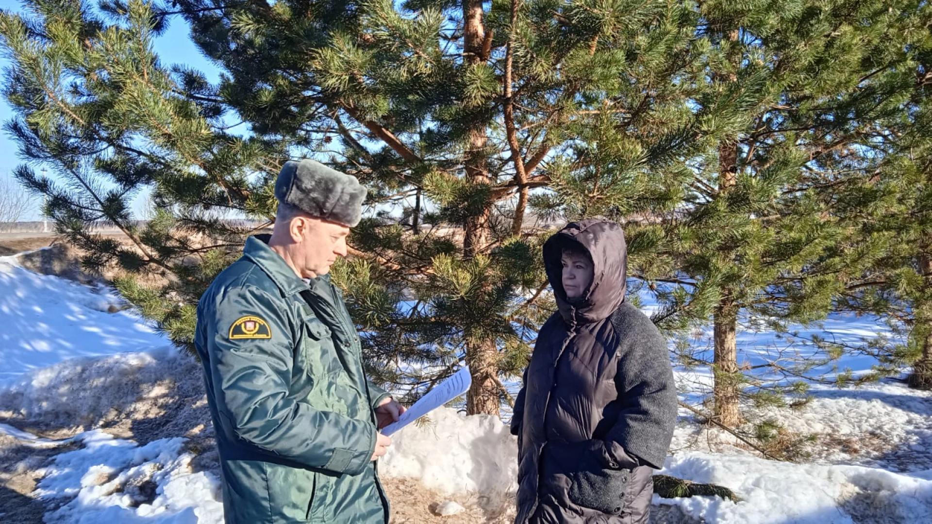 волоколамск, лесничий, елки, елочка, природа, эколог, экология,