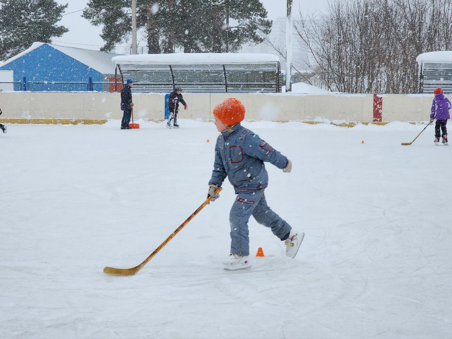 хоккей, спорт, секция, Старая Купавна, Богородский городской округ,