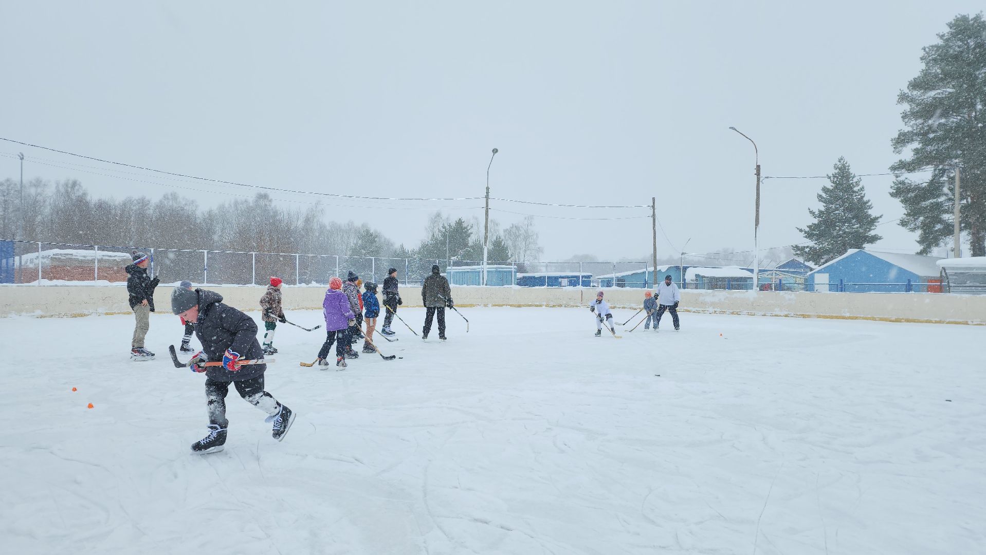 хоккей, спорт, секция, Старая Купавна, Богородский городской округ,