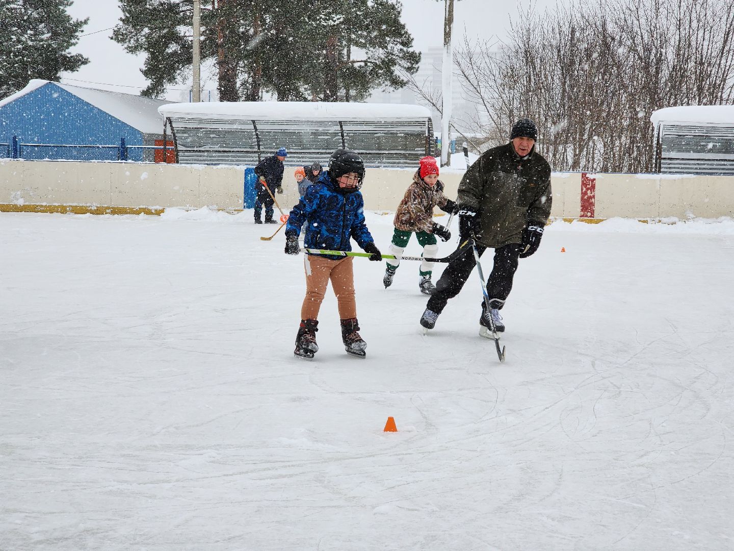 хоккей, спорт, секция, Старая Купавна, Богородский городской округ,