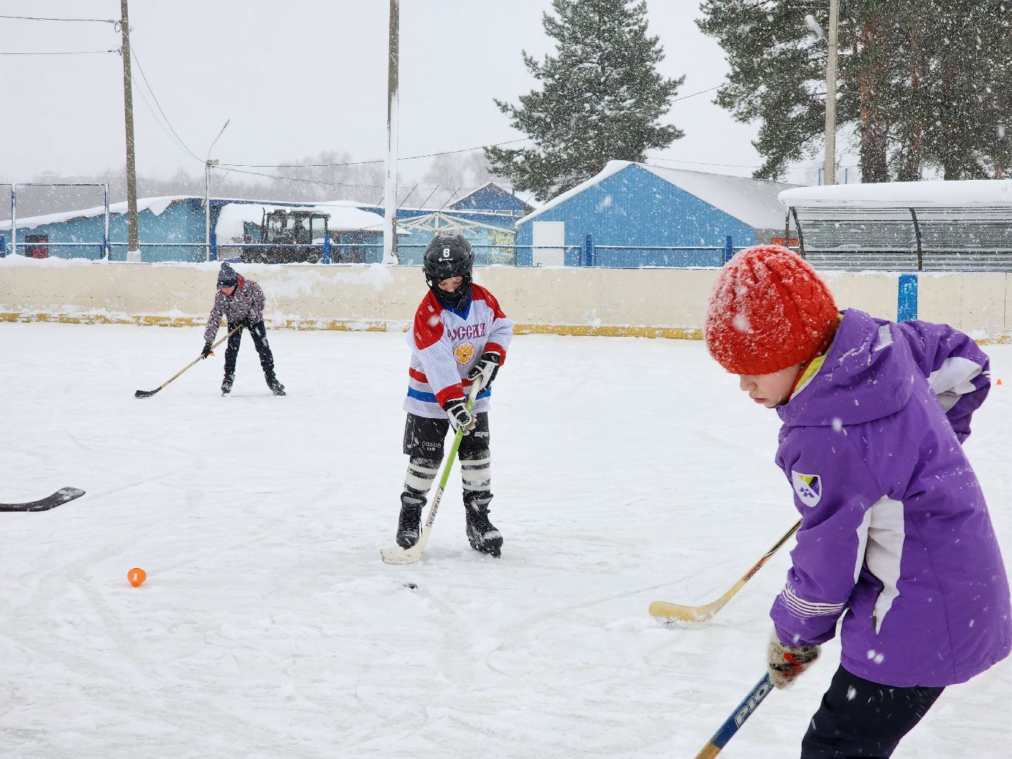 хоккей, спорт, секция, Старая Купавна, Богородский городской округ,