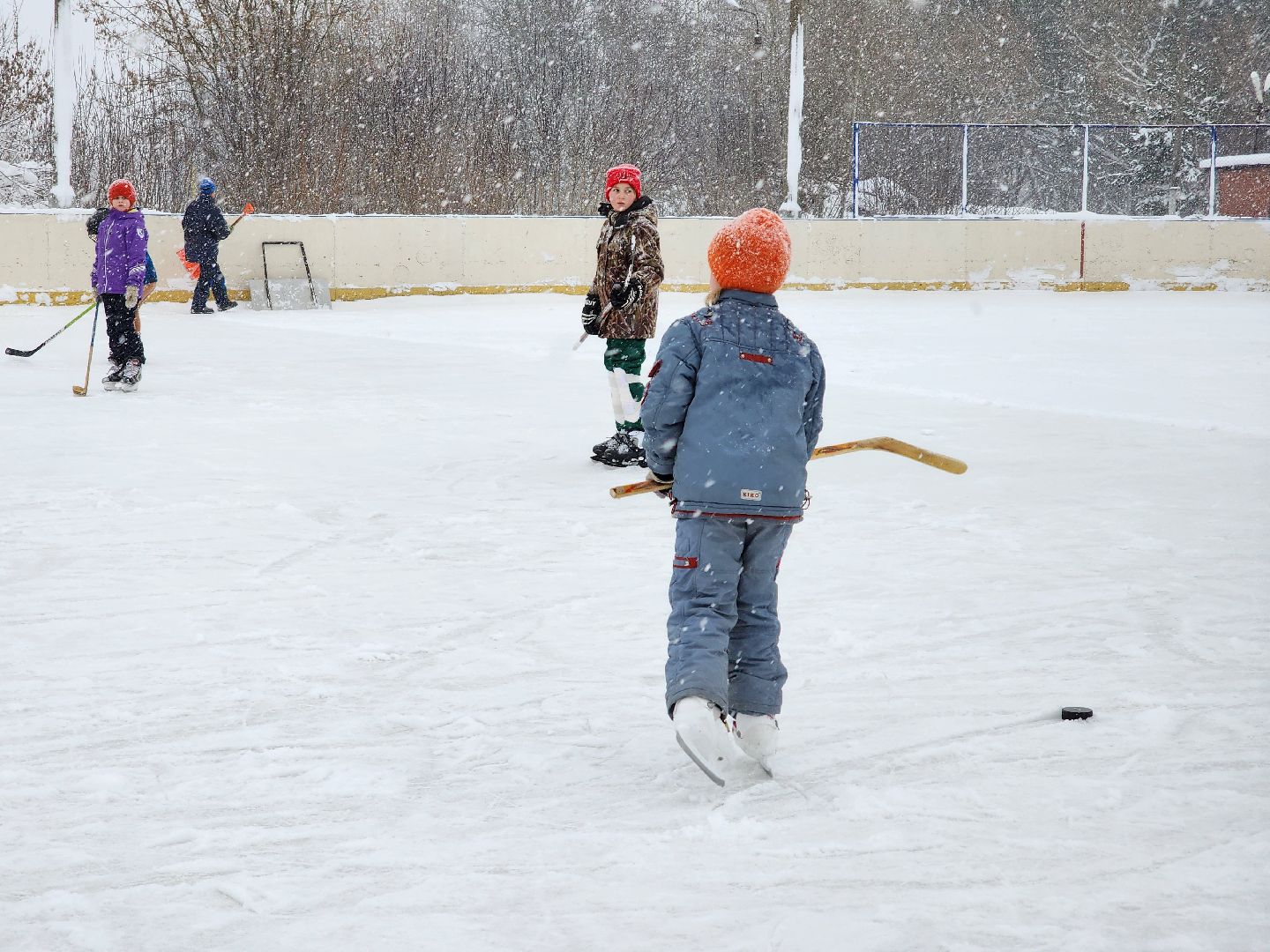 хоккей, спорт, секция, Старая Купавна, Богородский городской округ,