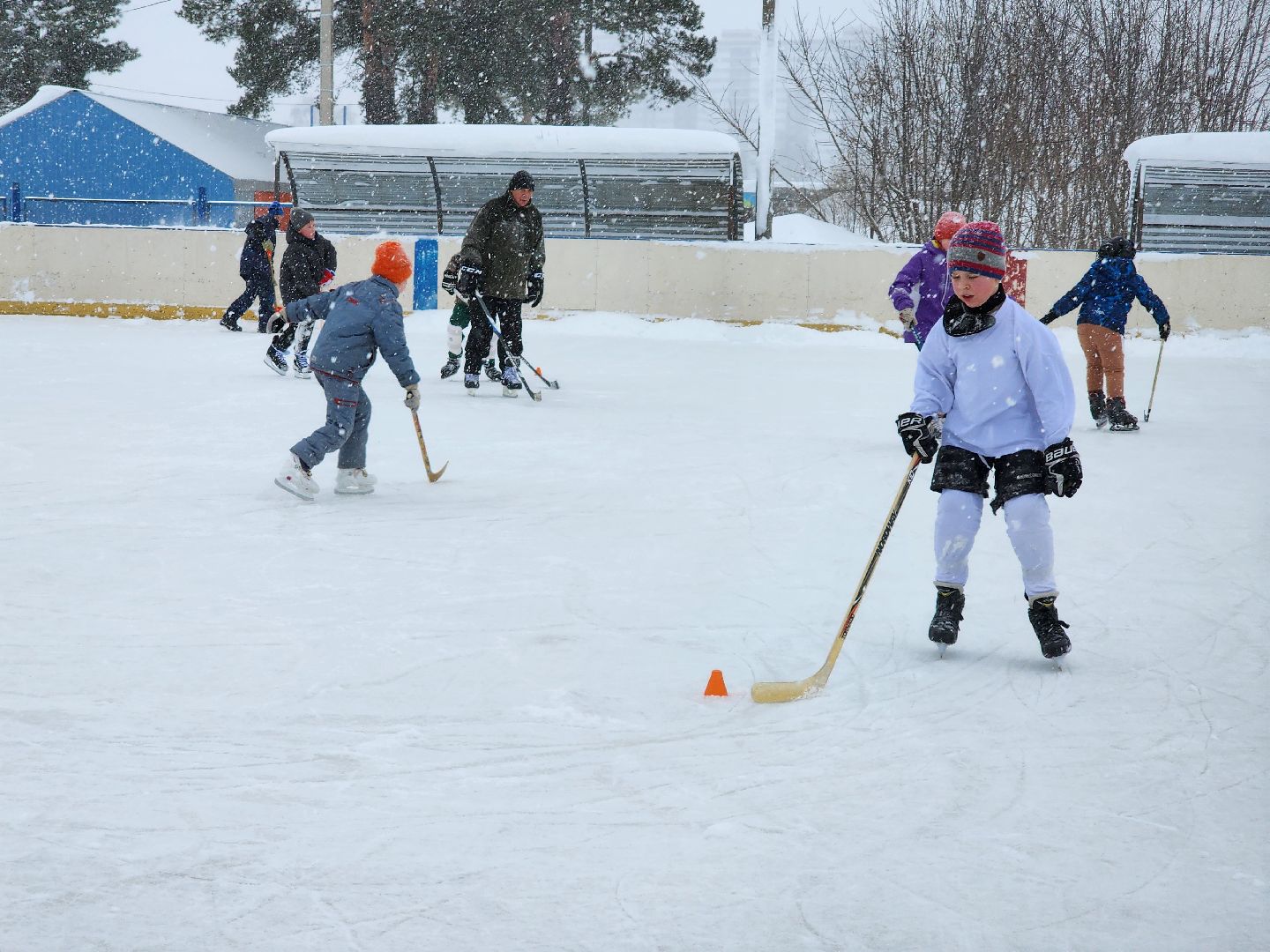 хоккей, спорт, секция, Старая Купавна, Богородский городской округ,