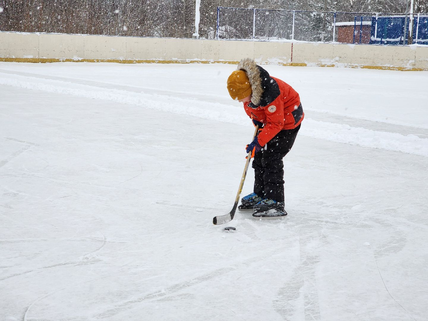 хоккей, спорт, секция, Старая Купавна, Богородский городской округ,