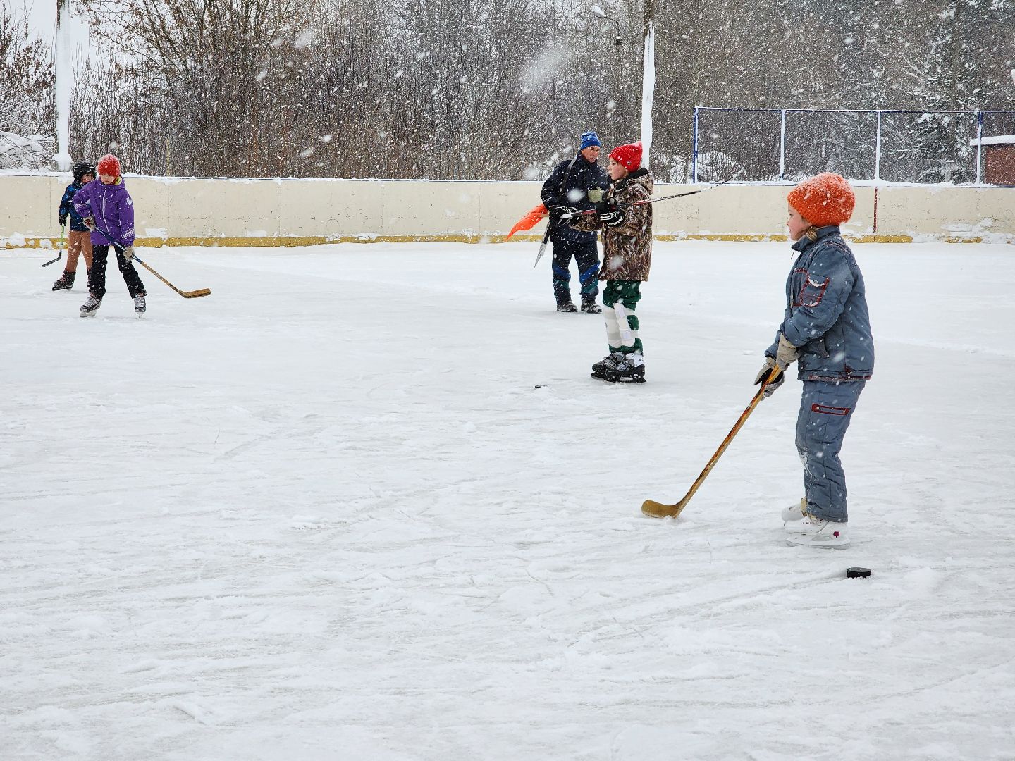 хоккей, спорт, секция, Старая Купавна, Богородский городской округ,