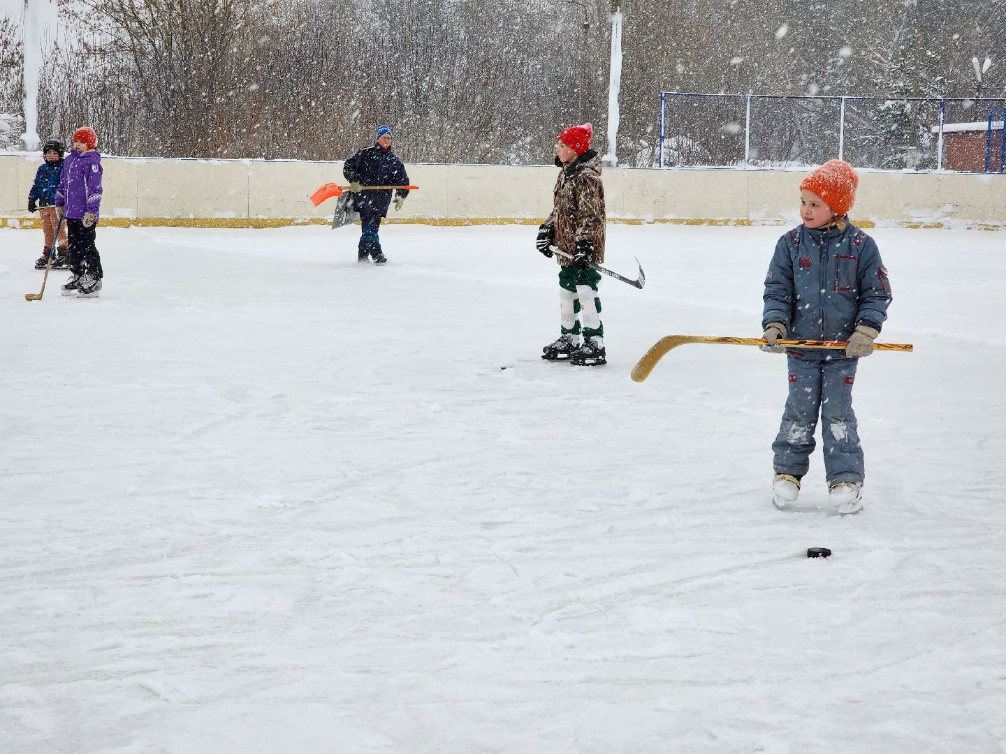 хоккей, спорт, секция, Старая Купавна, Богородский городской округ,