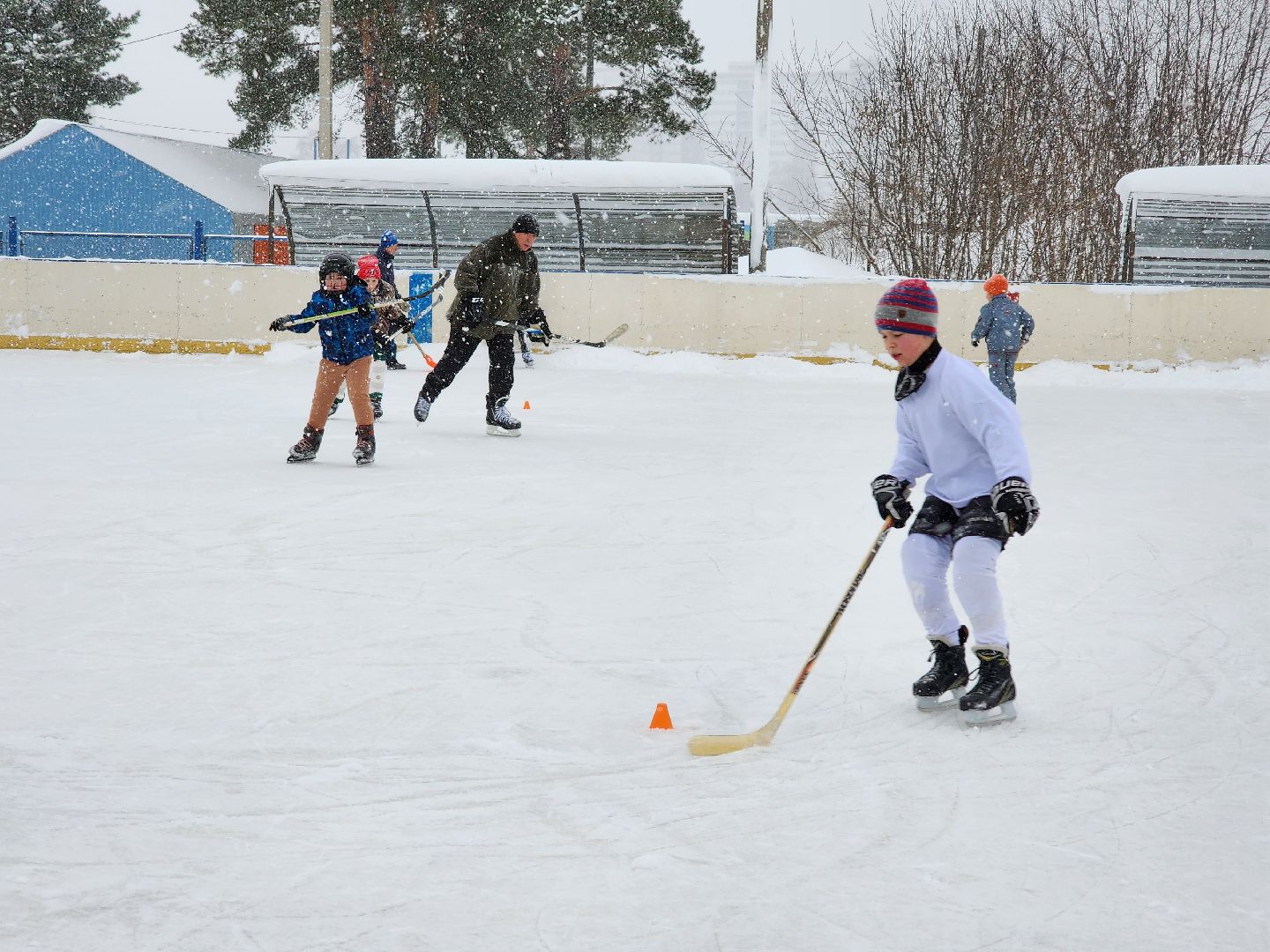 хоккей, спорт, секция, Старая Купавна, Богородский городской округ,