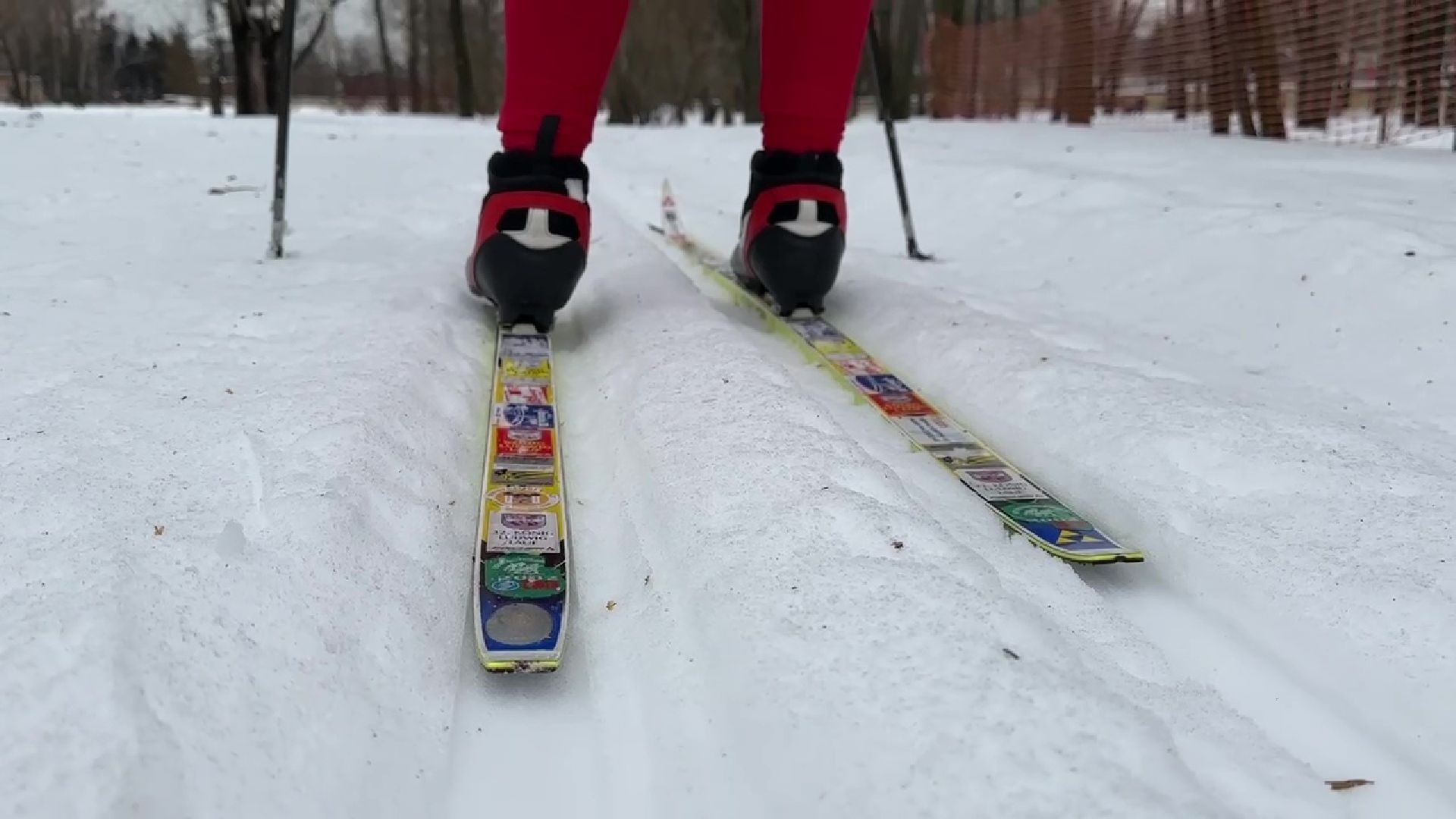 Реутов, парк, Фабричный пруд, спорт, лыжи, трасса, Людмила Колобанова,