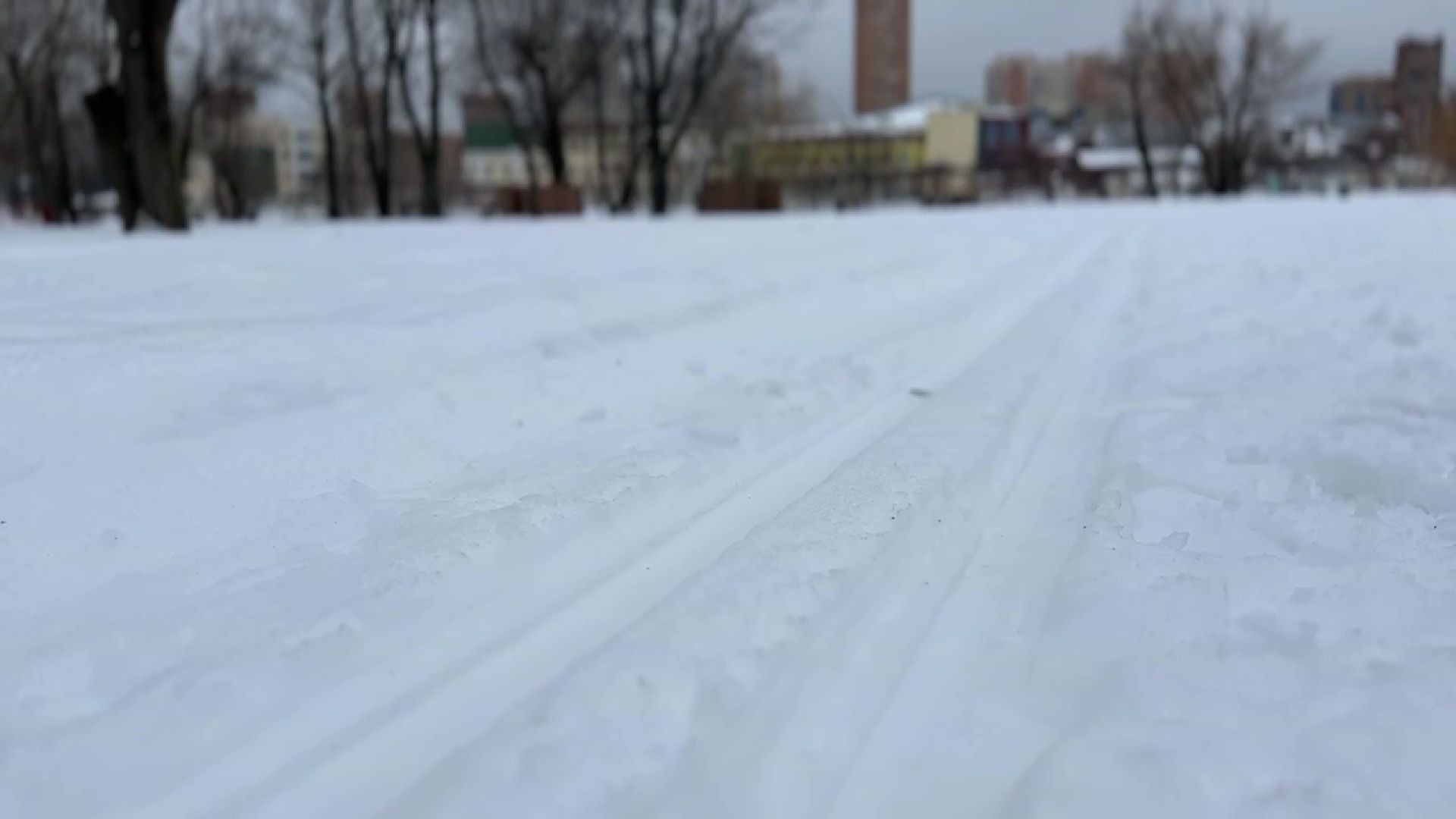 Реутов, парк, Фабричный пруд, спорт, лыжи, трасса, Людмила Колобанова,