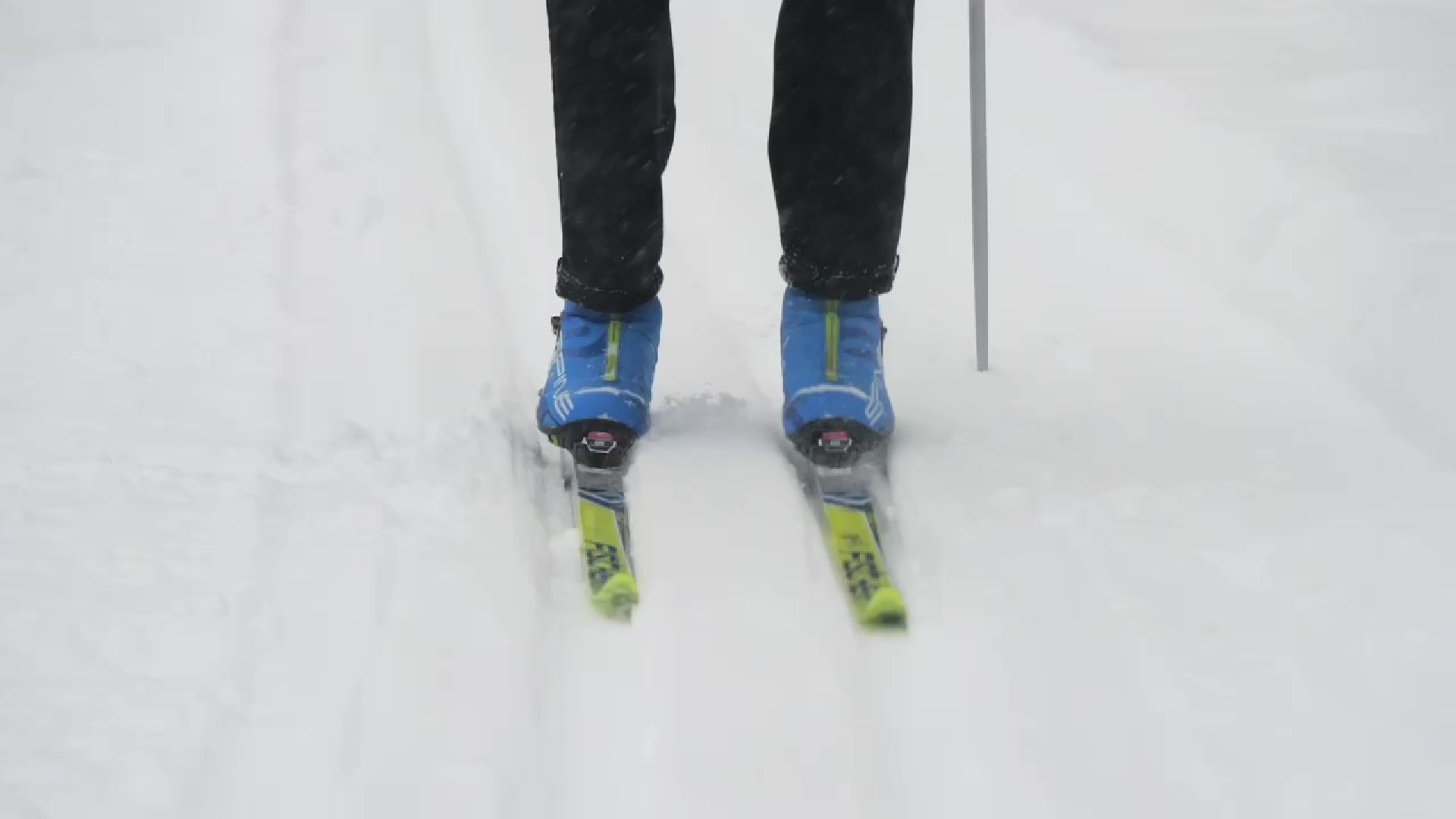 Реутов, парк, Фабричный пруд, спорт, лыжи, трасса, Людмила Колобанова,