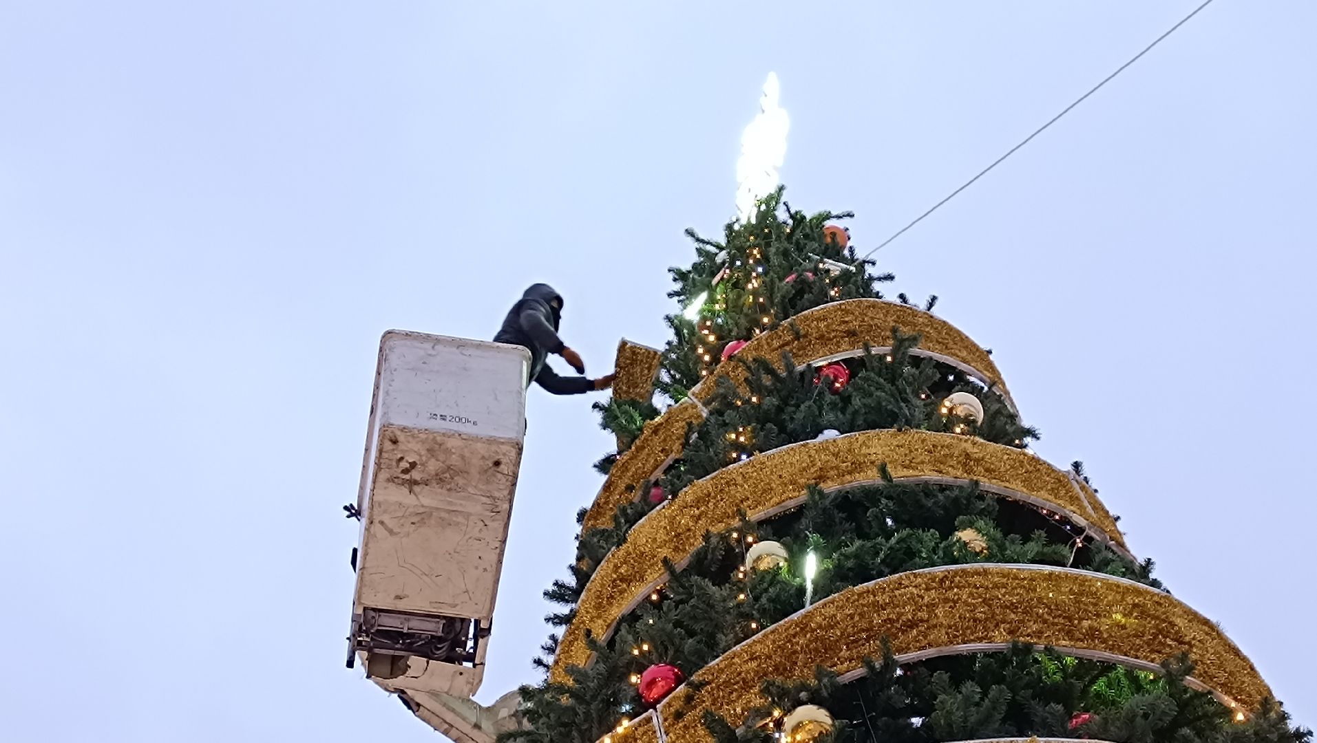 ёлка, новый год, лобня,