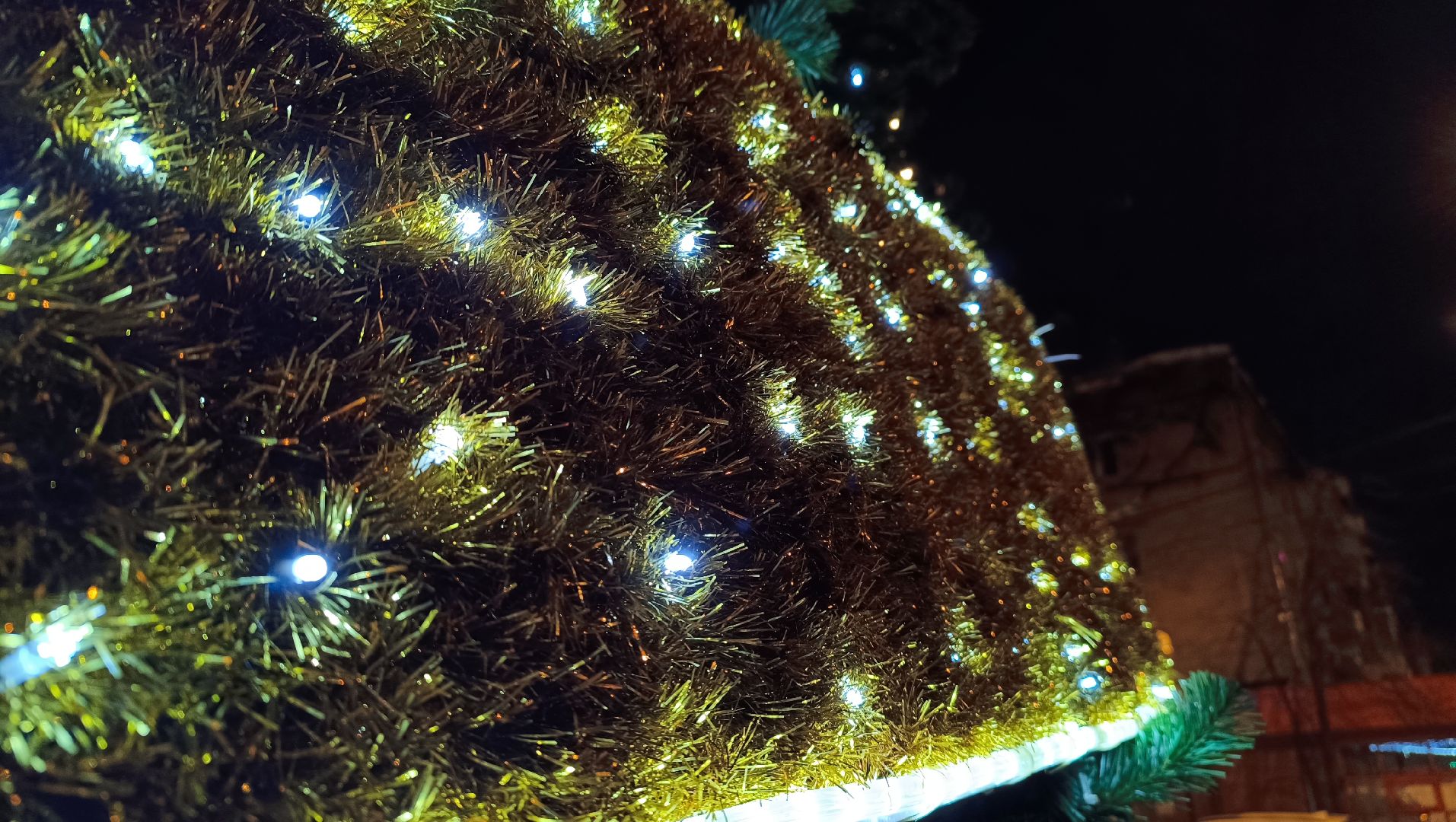 ёлка, новый год, лобня,