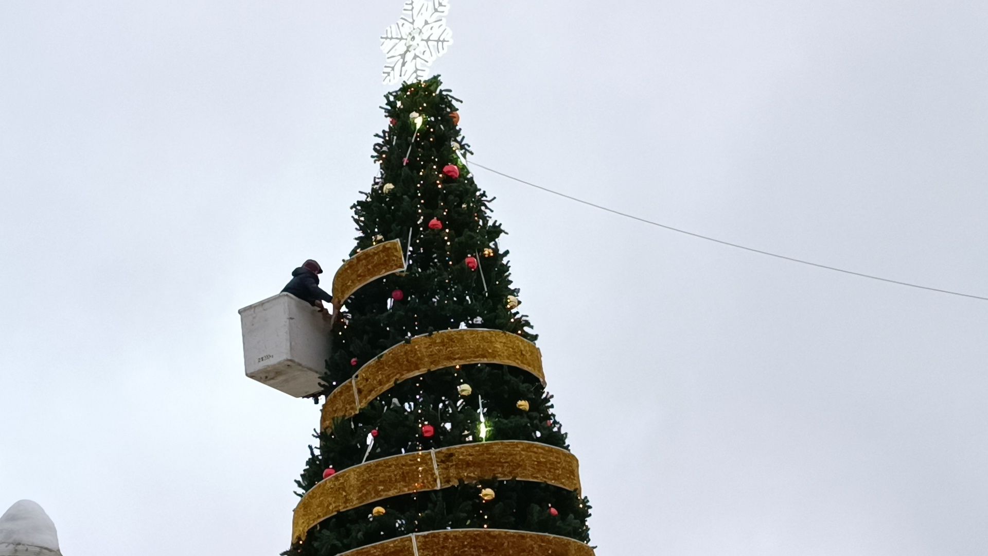 ёлка, новый год, лобня,