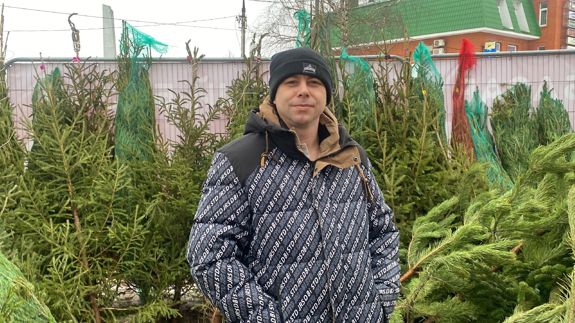 волоколамск, ёлка, елки, елочный базар, зима в подмосковье, сосны, пихты,