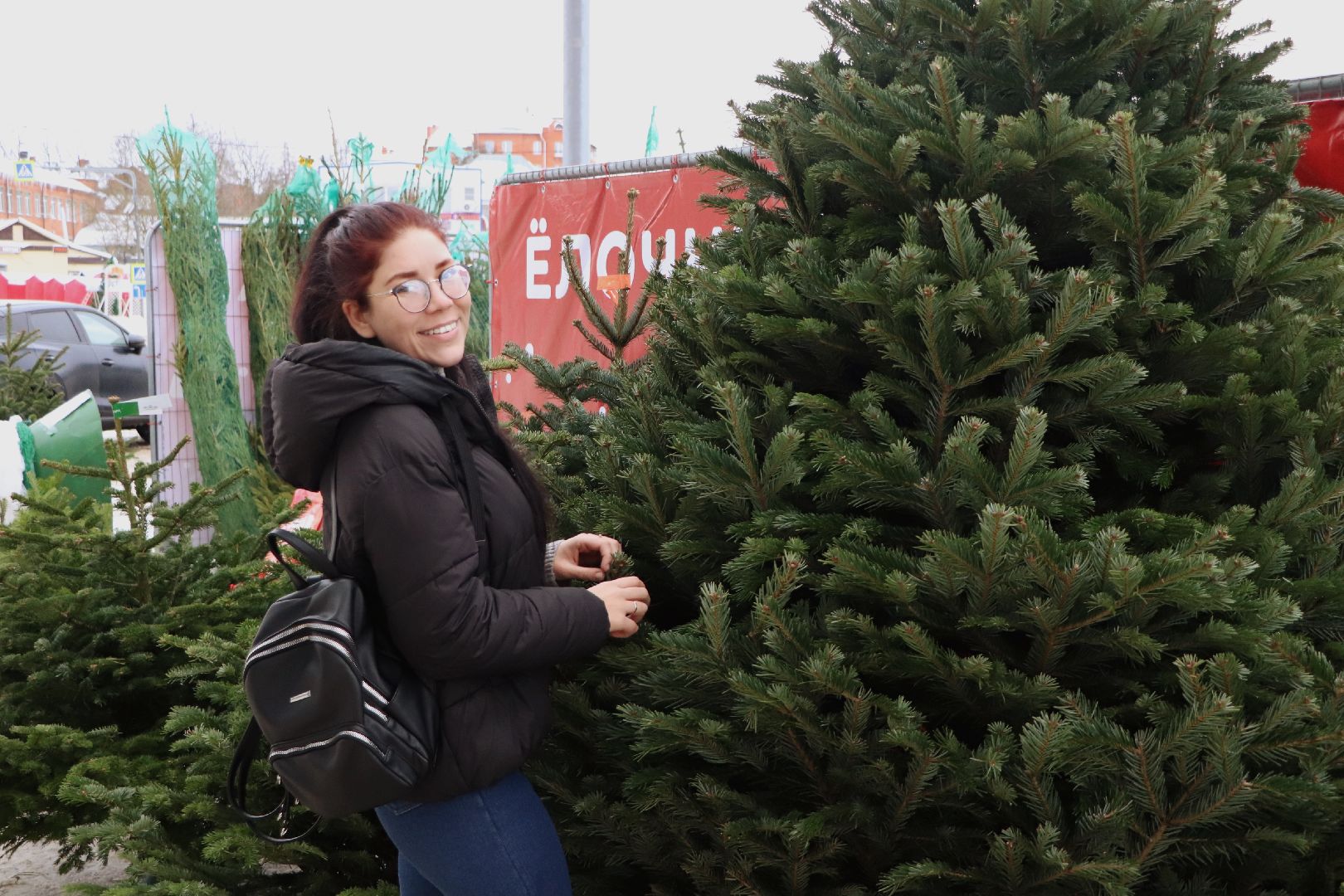 волоколамск, ёлка, елки, елочный базар, зима в подмосковье, сосны, пихты,