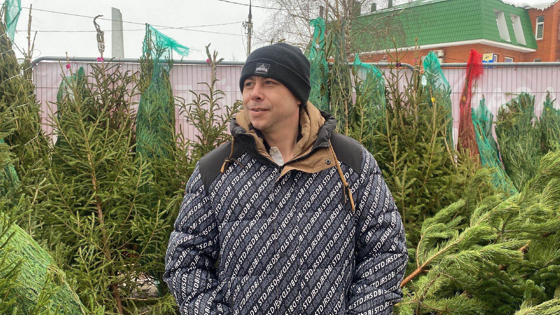 волоколамск, ёлка, елки, елочный базар, зима в подмосковье, сосны, пихты,