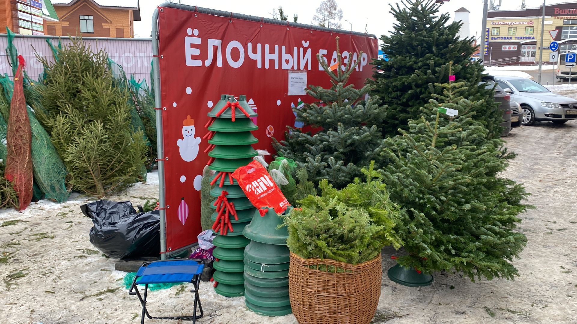 волоколамск, ёлка, елки, елочный базар, зима в подмосковье, сосны, пихты,