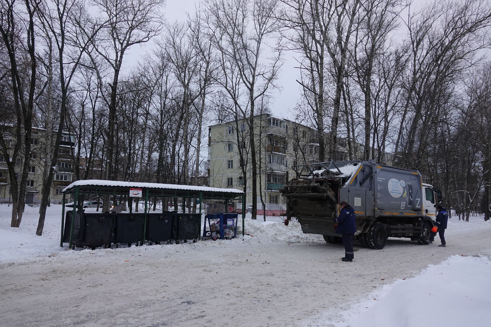 Сергиев Посад, ЖКХ, Контейнерная площадка, ТКО, КГО, Мусор, Коммунальные службы,