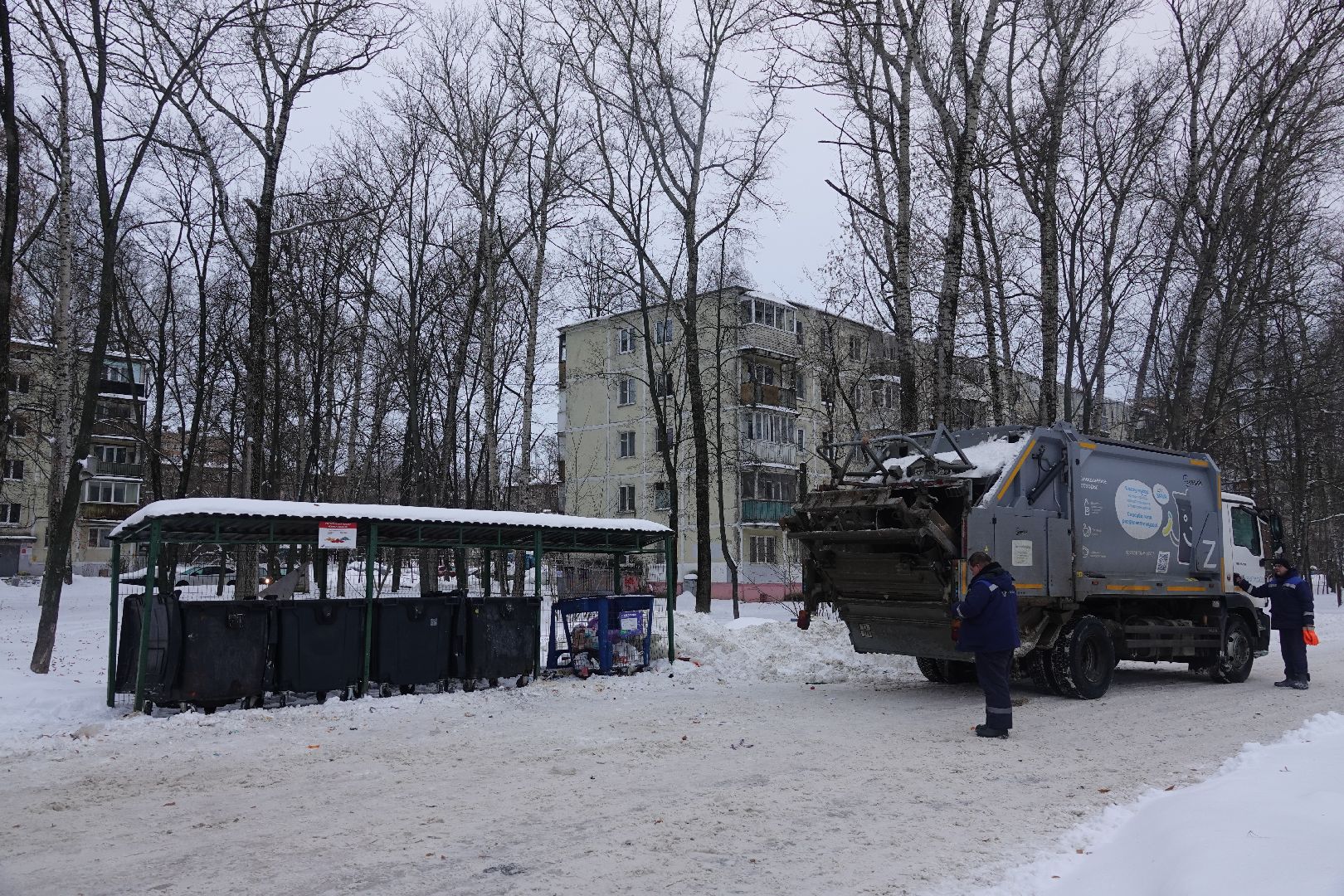 Сергиев Посад, ЖКХ, Контейнерная площадка, ТКО, КГО, Мусор, Коммунальные службы,
