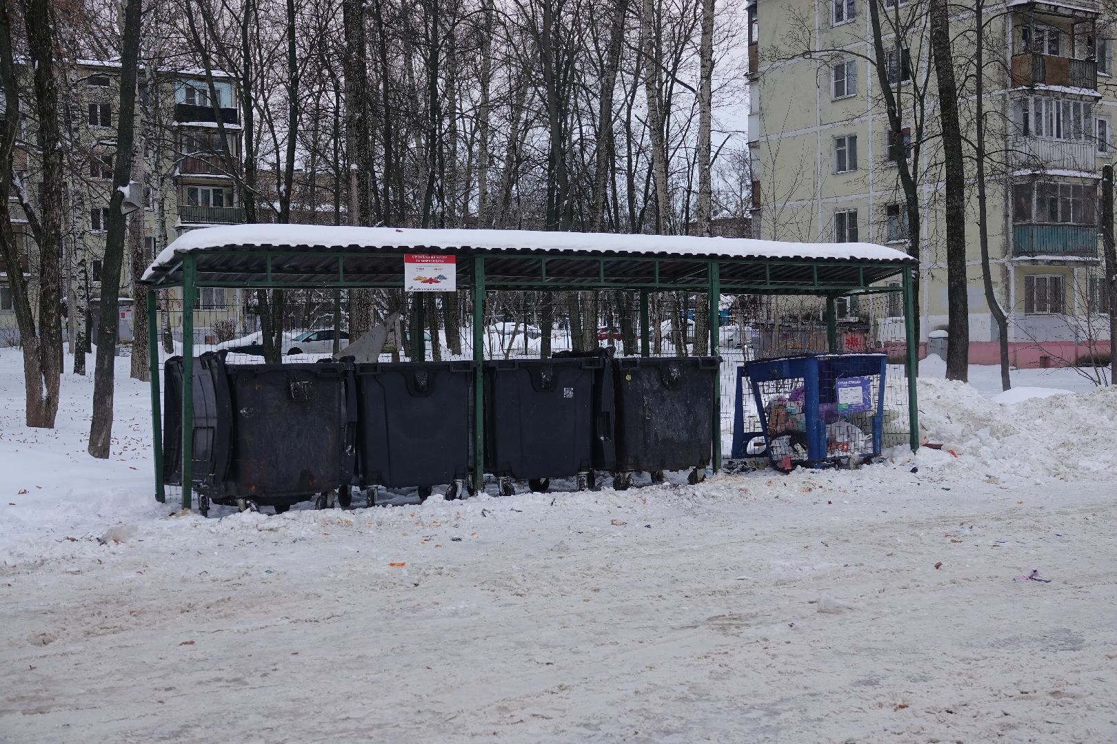 Сергиев Посад, ЖКХ, Контейнерная площадка, ТКО, КГО, Мусор, Коммунальные службы,