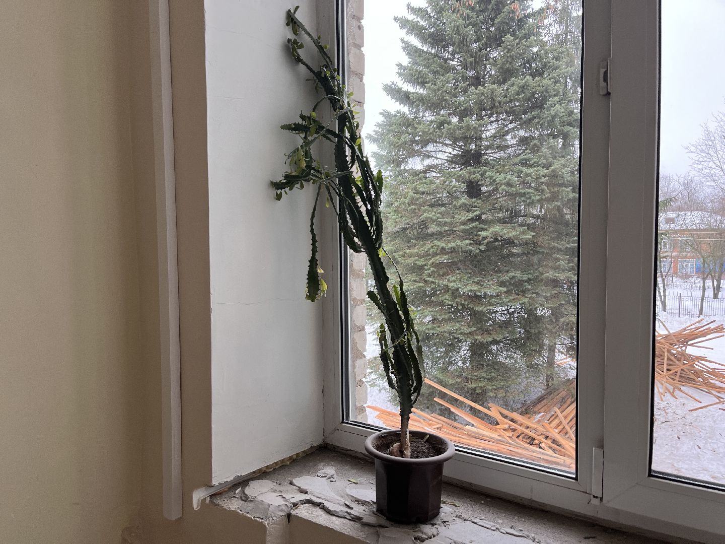 шаховская, ремонт, капитальный ремонт, школа, ремонт школы,