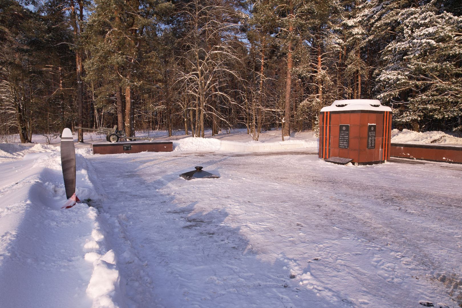 видео с коптера,