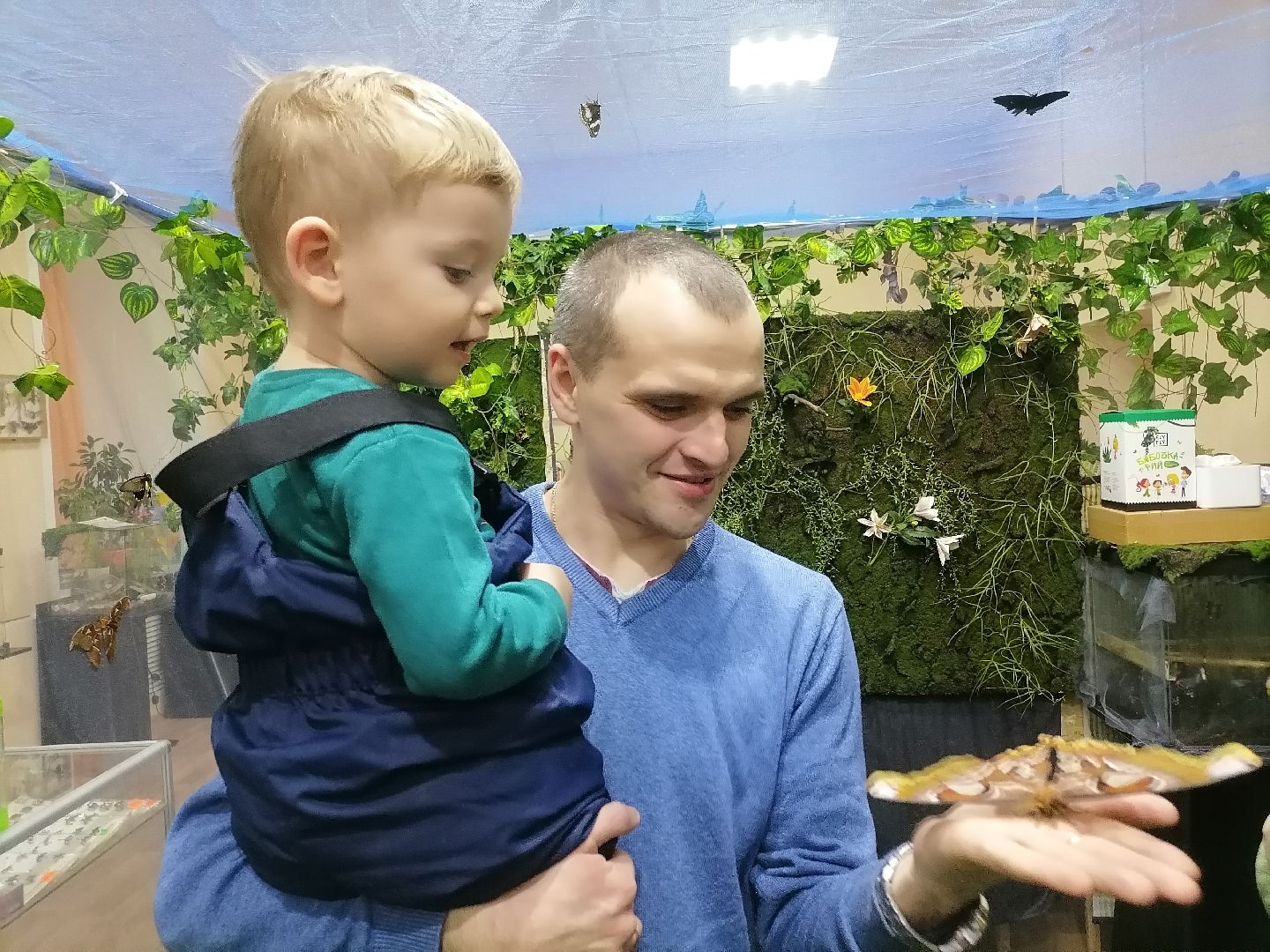 выставка живых бабочек, музеиподмосковья,