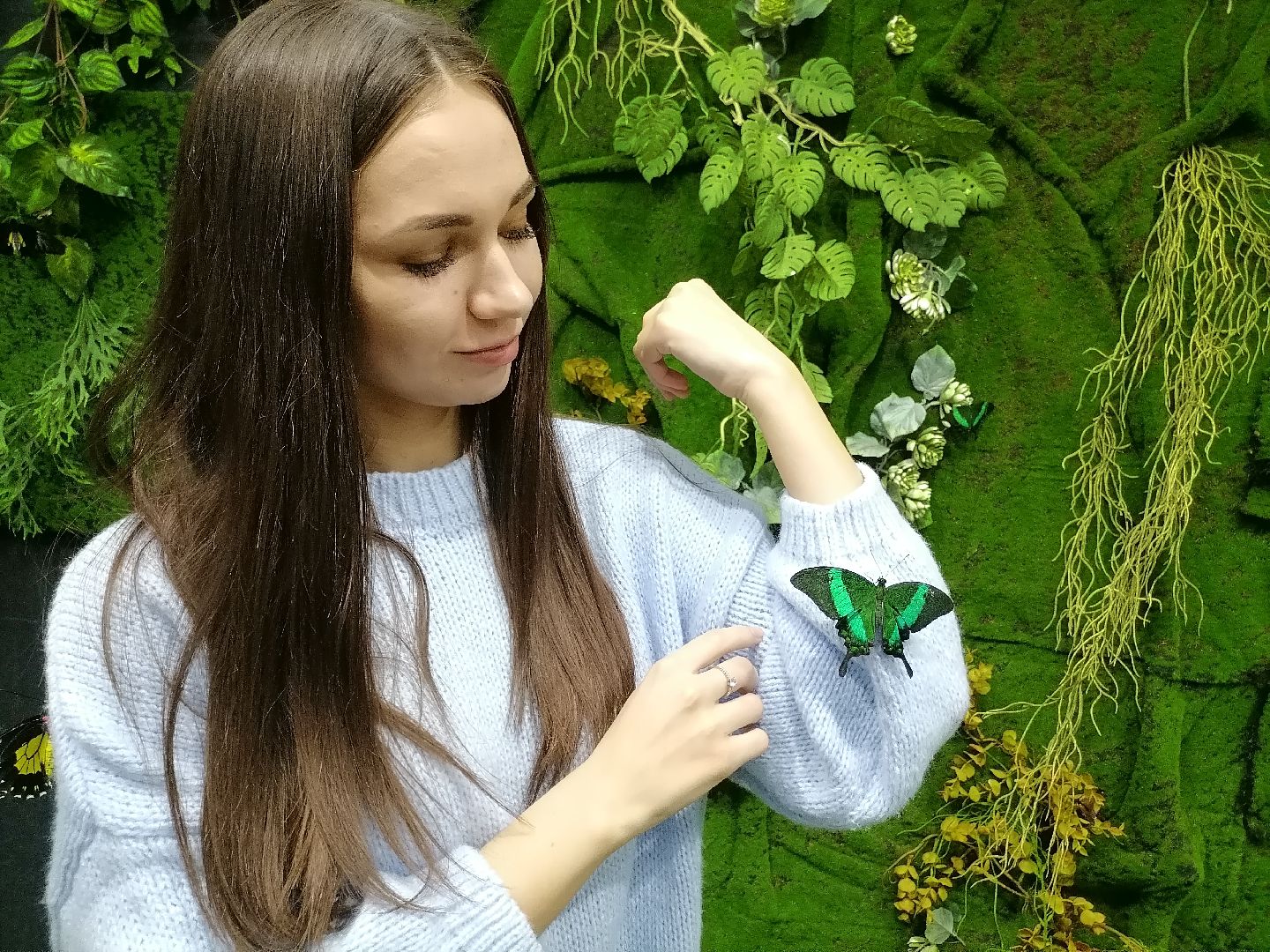 выставка живых бабочек, музеиподмосковья,