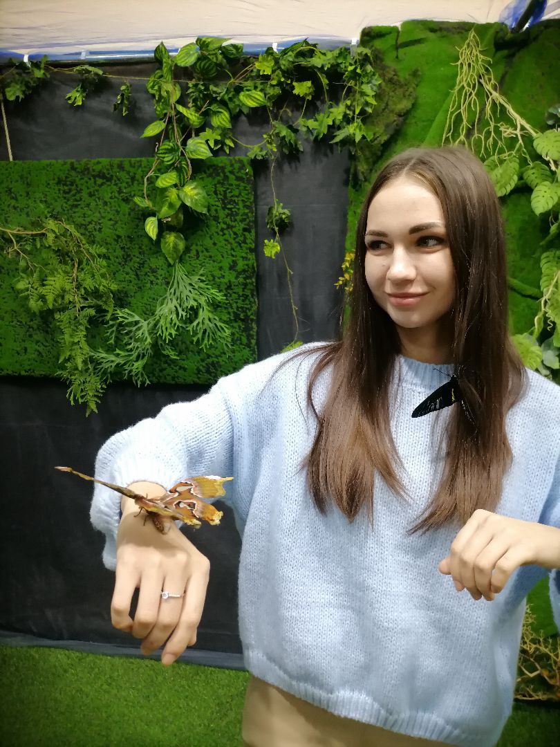 выставка живых бабочек, музеиподмосковья,