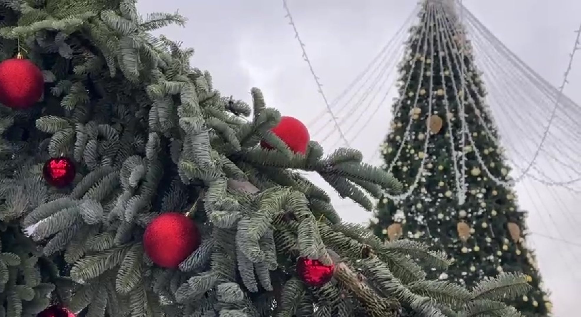 Реутов, парки, Фабричный пруд, центральный городской парк, Дед Мороз, дед мороз рекомендует, конкурс, наклейка,
