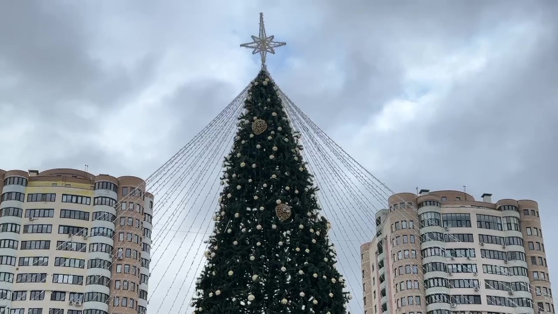 Реутов, парки, Фабричный пруд, центральный городской парк, Дед Мороз, дед мороз рекомендует, конкурс, наклейка,