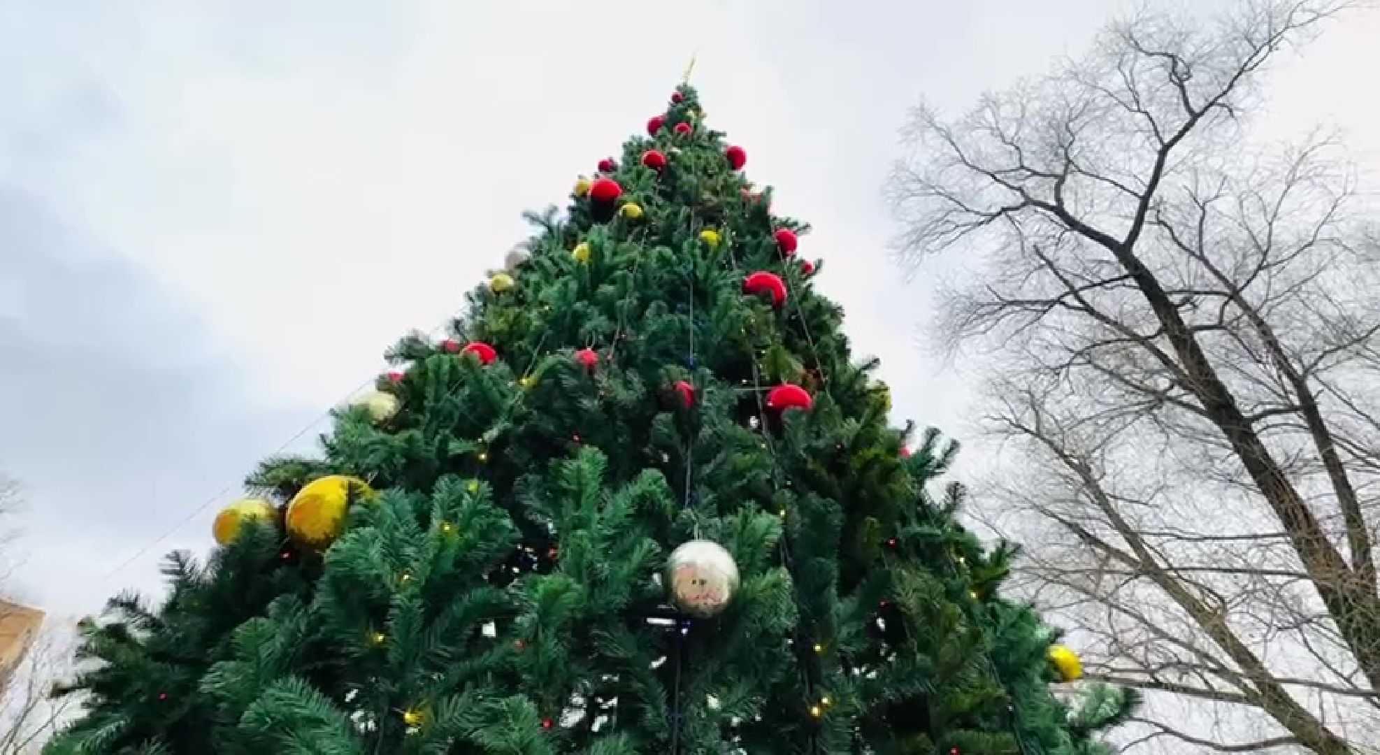 Реутов, парки, Фабричный пруд, центральный городской парк, Дед Мороз, дед мороз рекомендует, конкурс, наклейка,