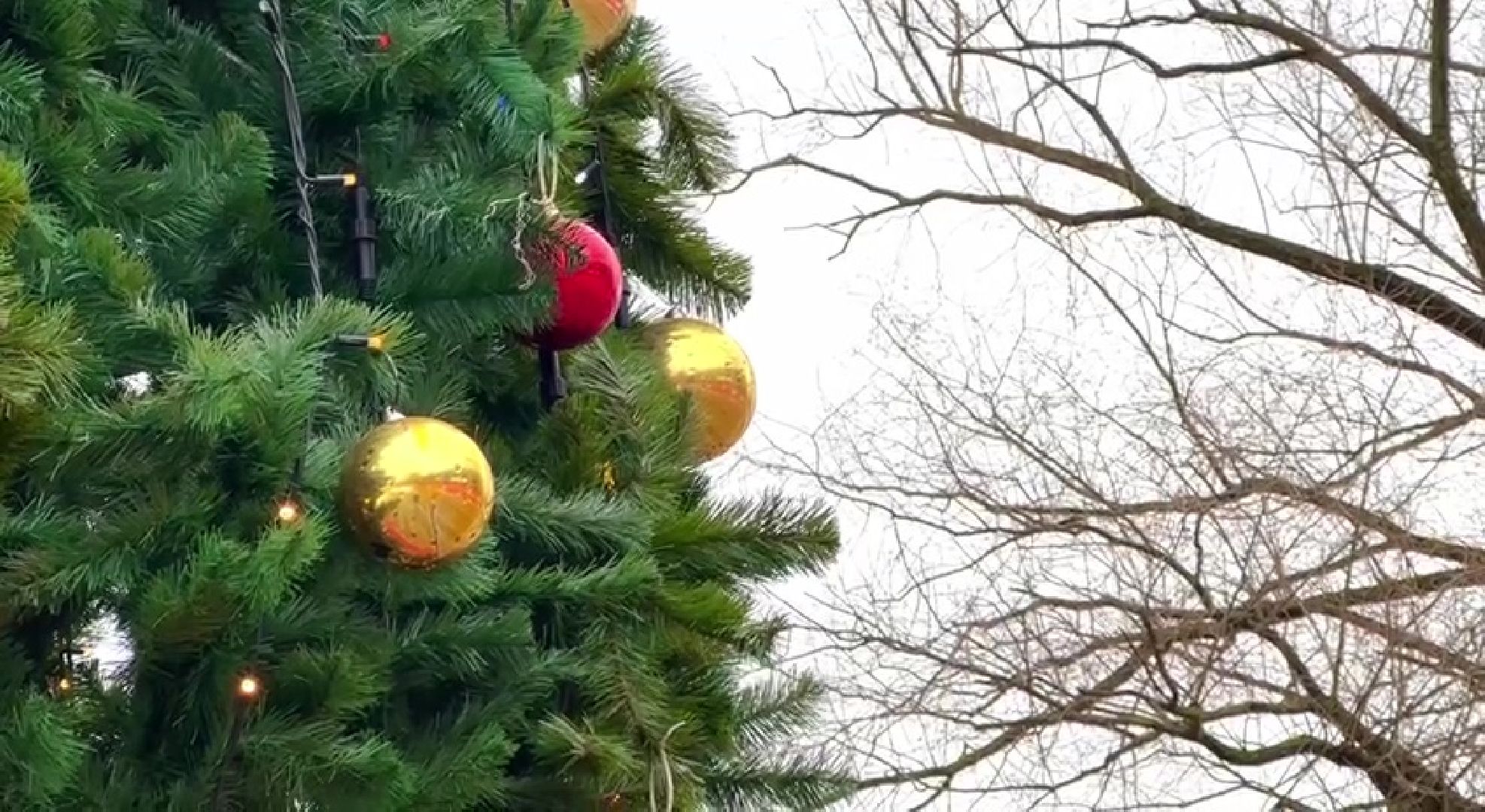 Реутов, парки, Фабричный пруд, центральный городской парк, Дед Мороз, дед мороз рекомендует, конкурс, наклейка,