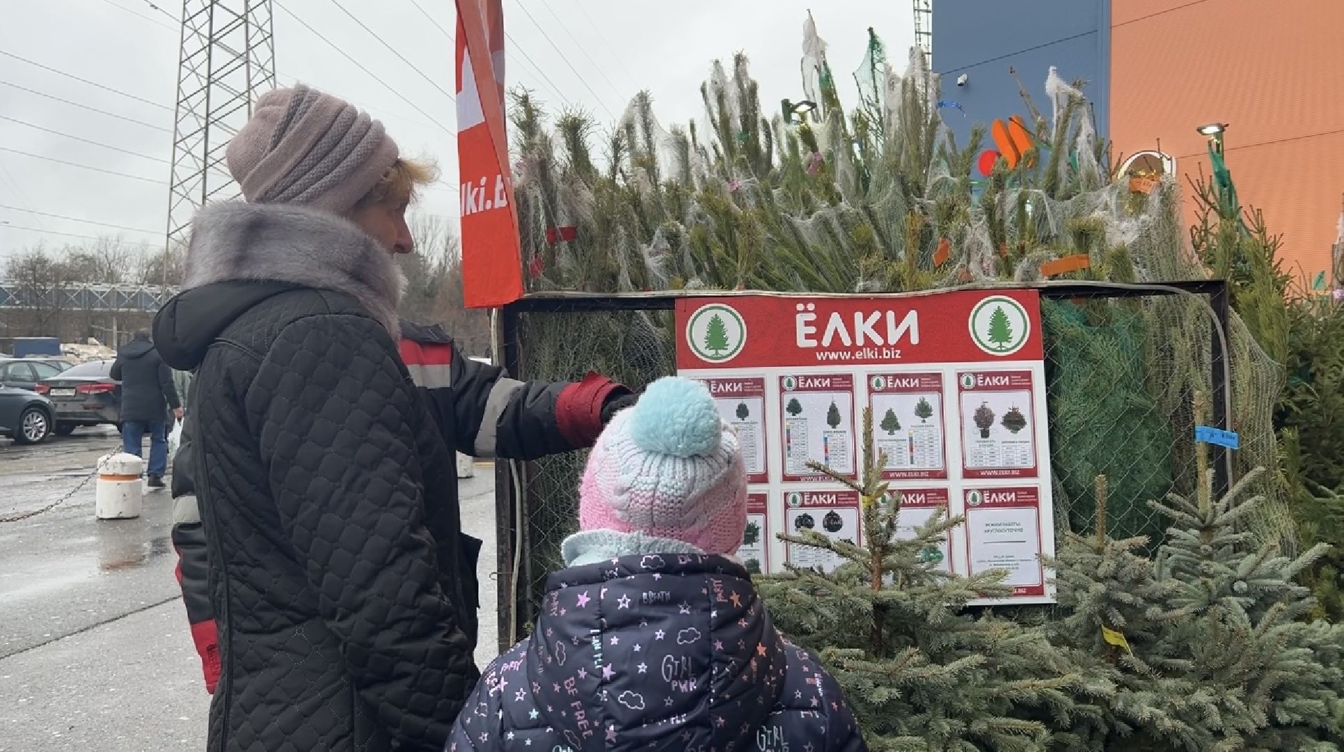 химки, новый год, ёлка, елочный базар, общество,