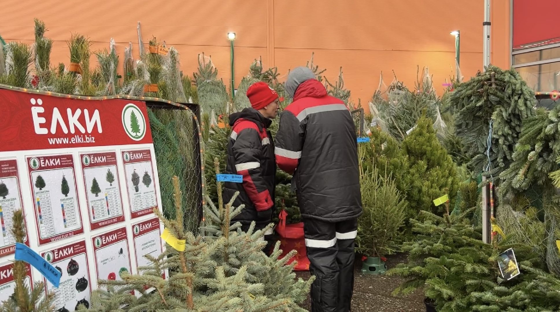 химки, новый год, ёлка, елочный базар, общество,