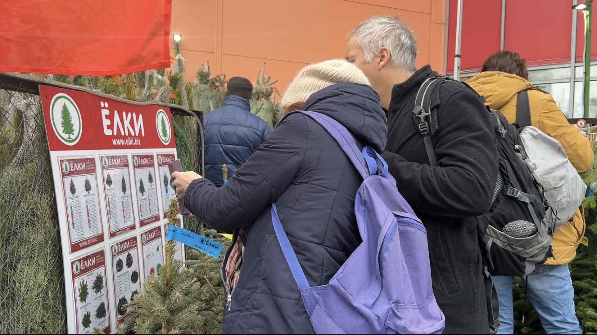 химки, новый год, ёлка, елочный базар, общество,