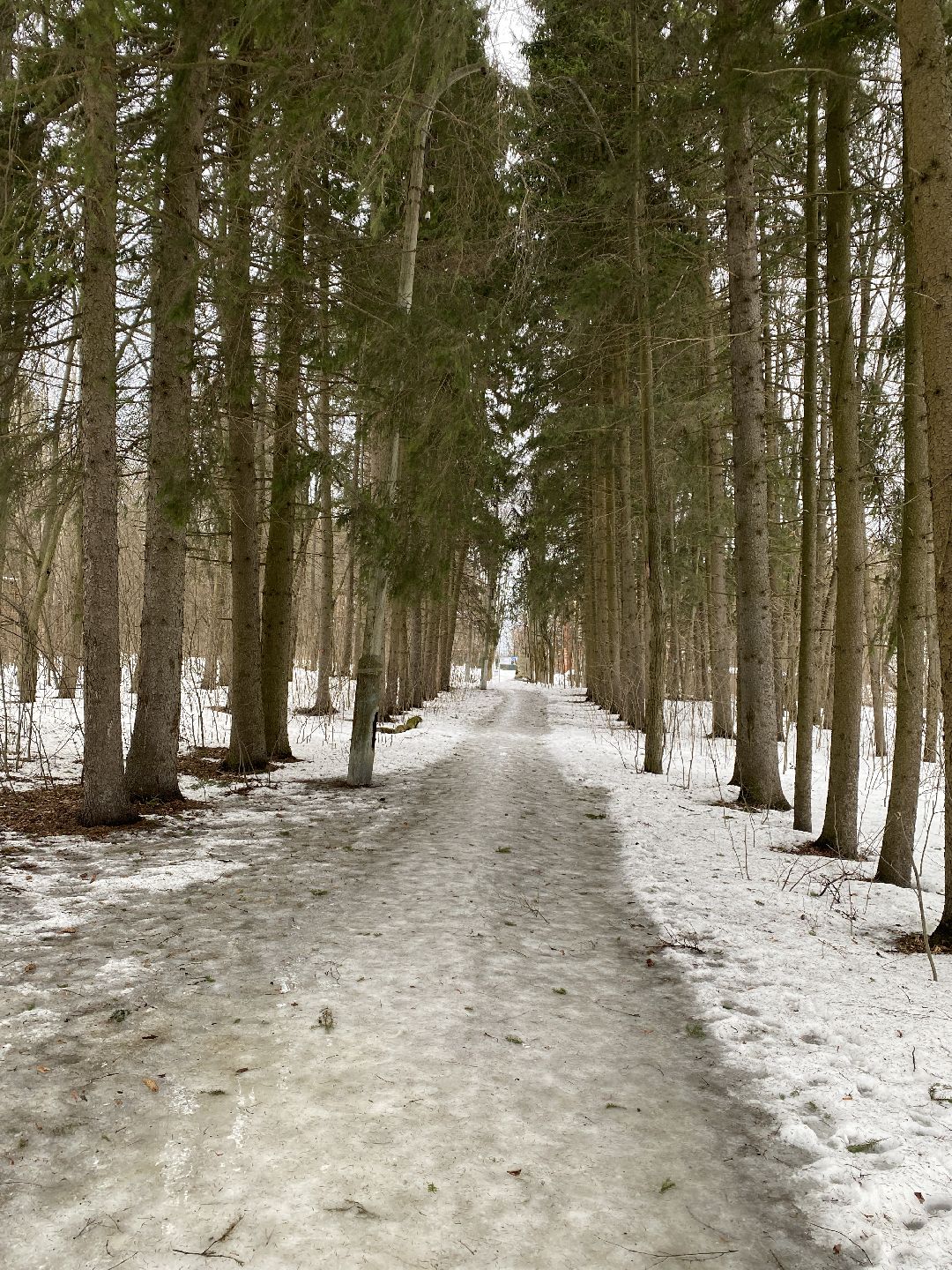 Чехов, благоустройство, набережная