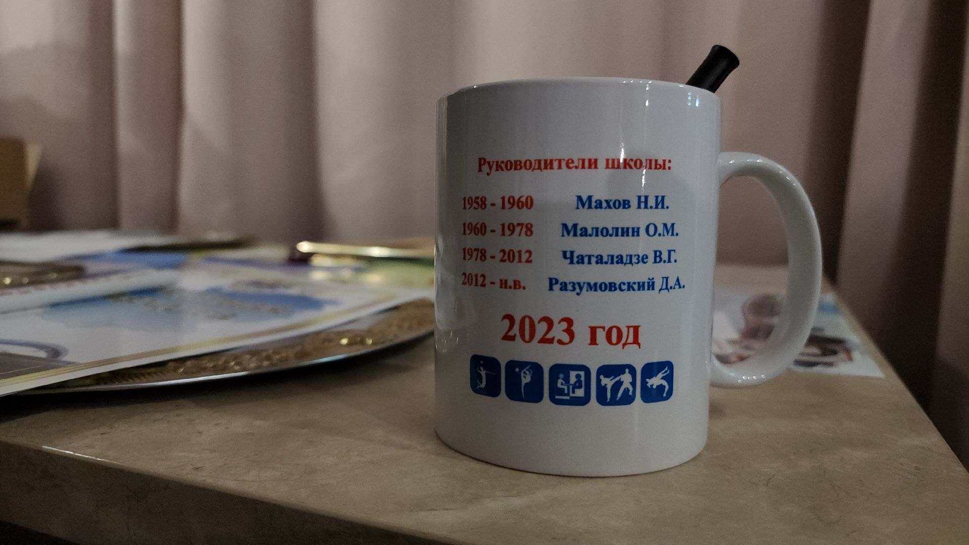 ступино, спорт подмосковья, юбилей спортшколы,