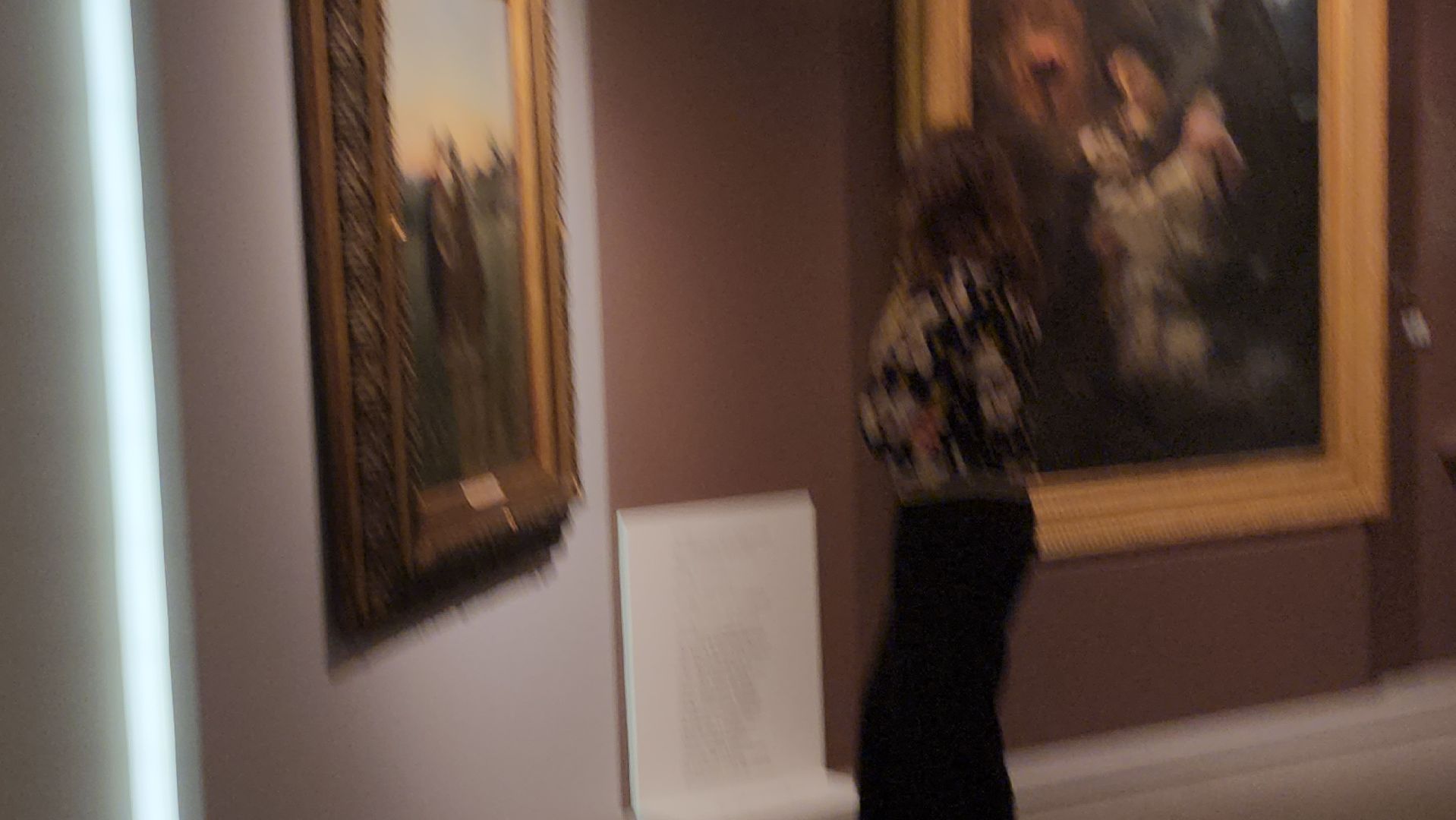 серпухов, подмосковье, СИХМ, братья Маковские, выставка, музей,