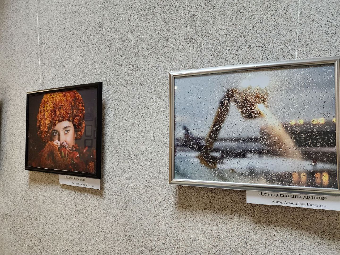 Серебряные Пруды, фотовыставка, Анастасия Богатова, Культурный центр Наследие,