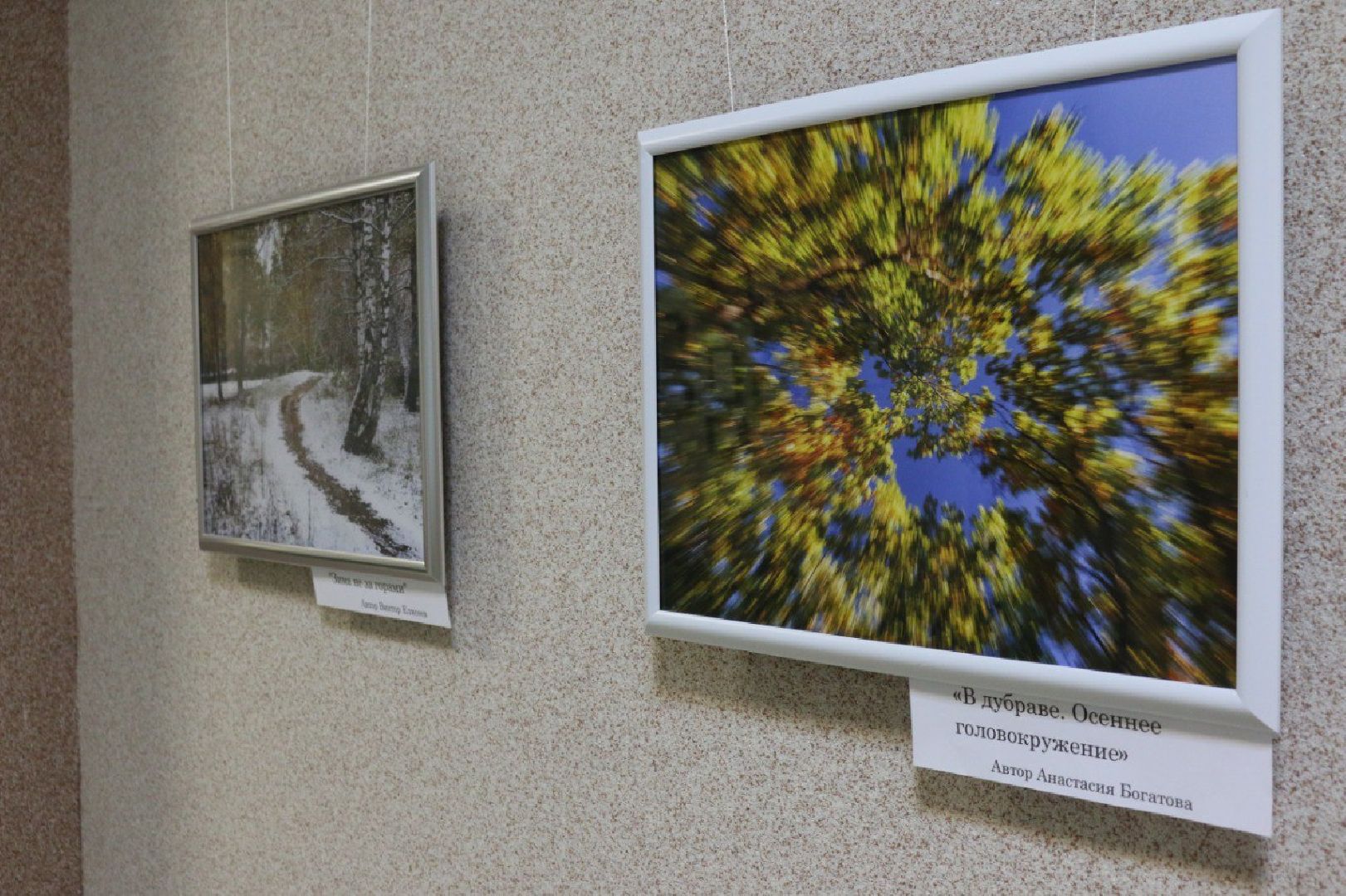 Серебряные Пруды, фотовыставка, Анастасия Богатова, Культурный центр Наследие,