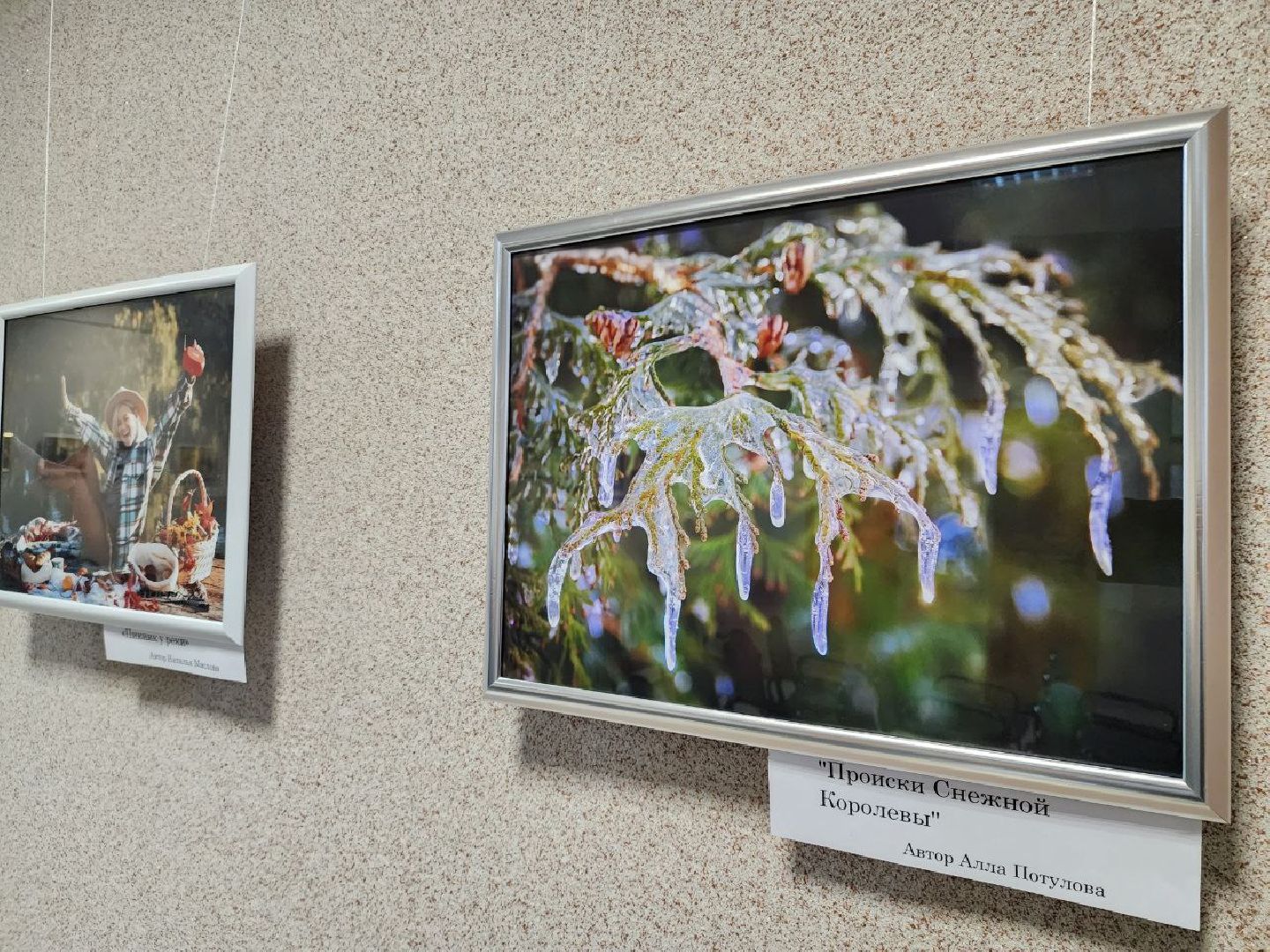 Серебряные Пруды, фотовыставка, Анастасия Богатова, Культурный центр Наследие,