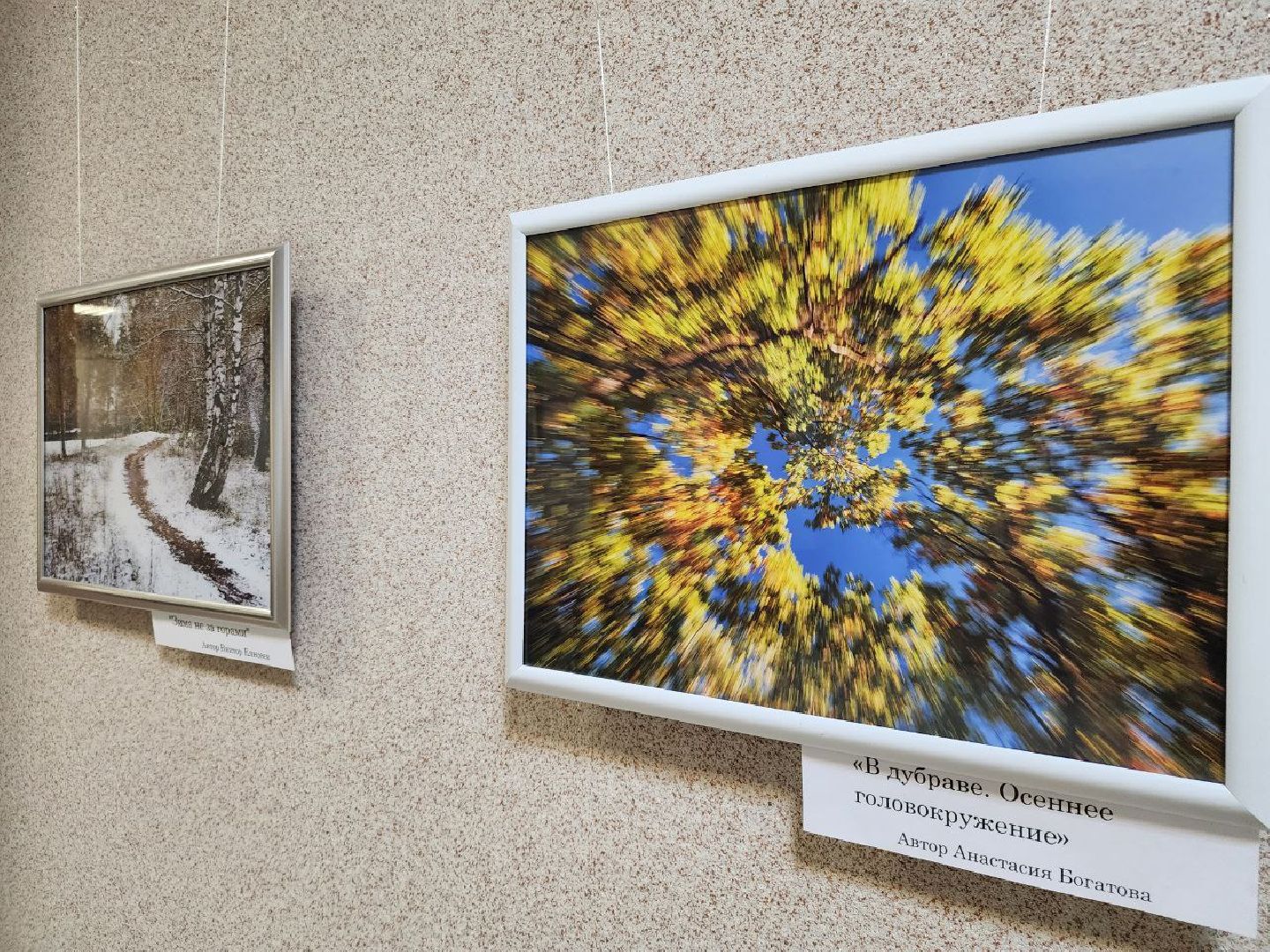 Серебряные Пруды, фотовыставка, Анастасия Богатова, Культурный центр Наследие,