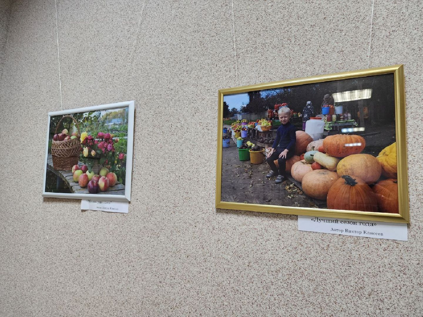 Серебряные Пруды, фотовыставка, Анастасия Богатова, Культурный центр Наследие,