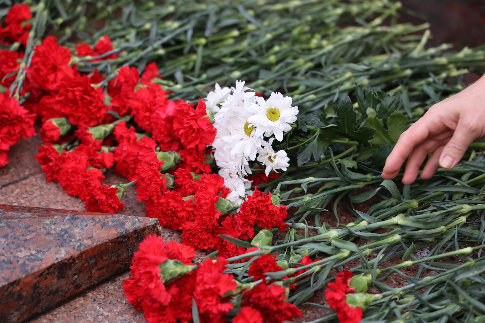 Волоколамск,