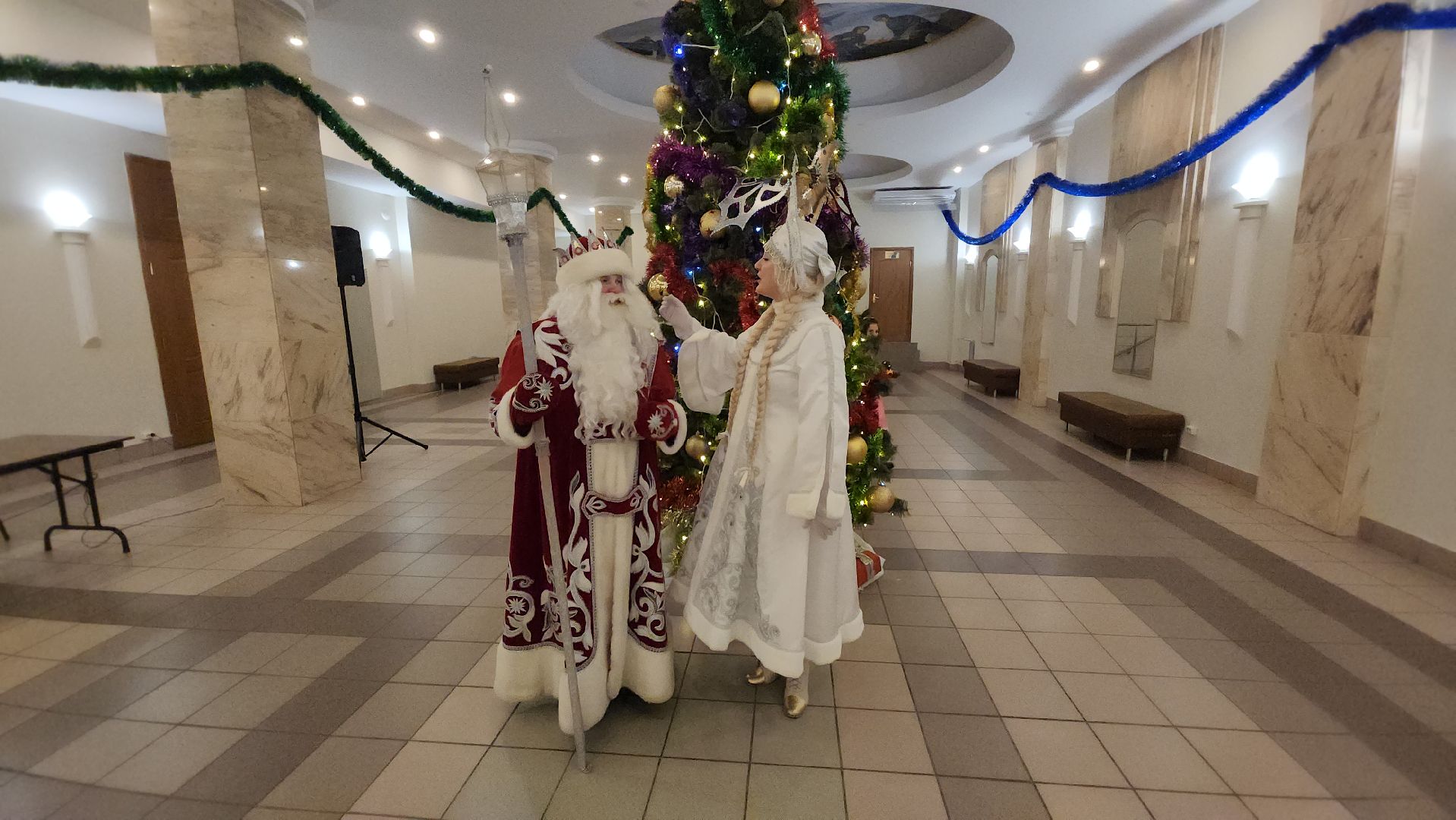 долгопрудный, сво, елка главы,