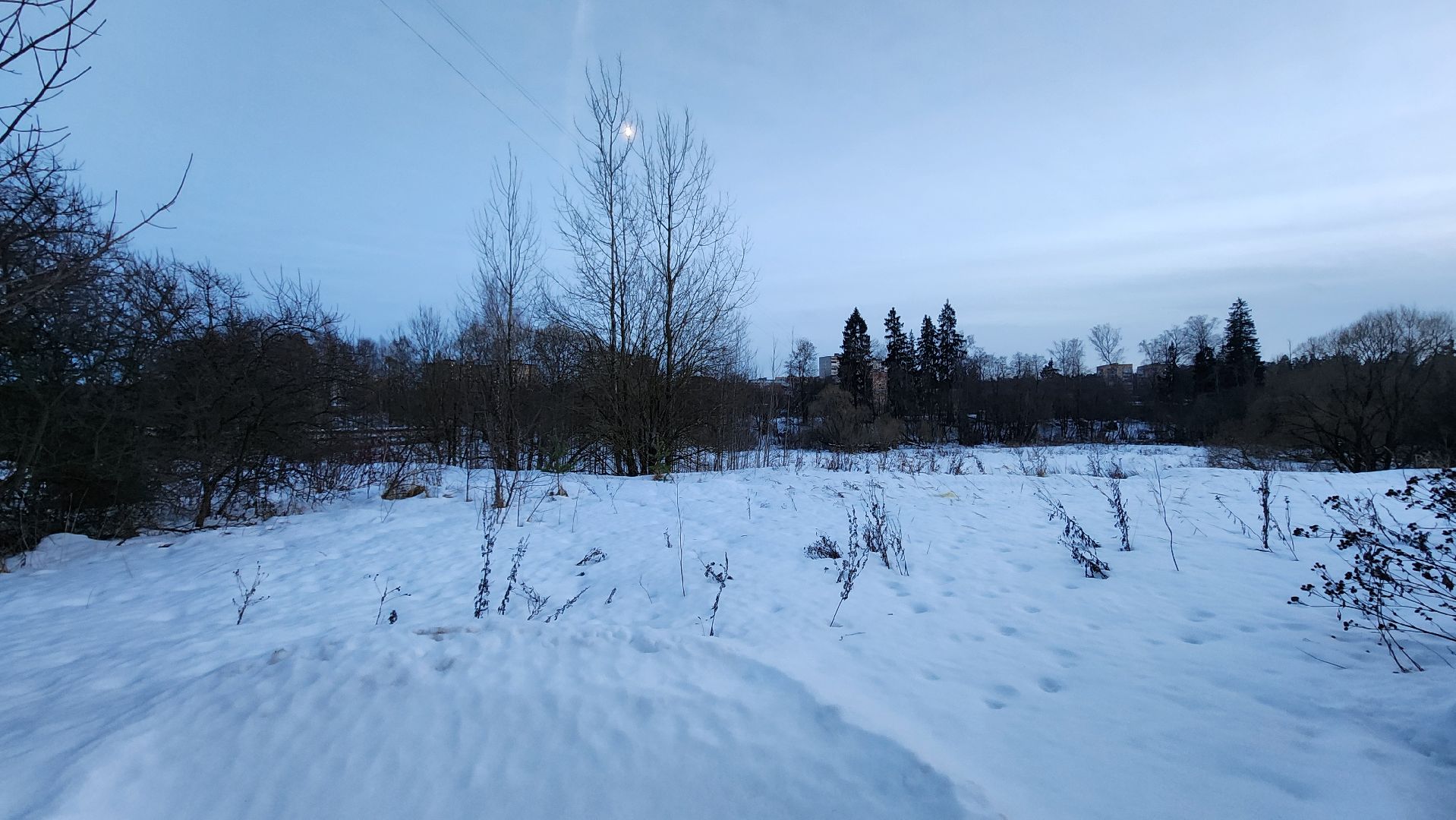 Солнечногорск, Менделеево, ЖКХ, мусор, контейнерная площадка,