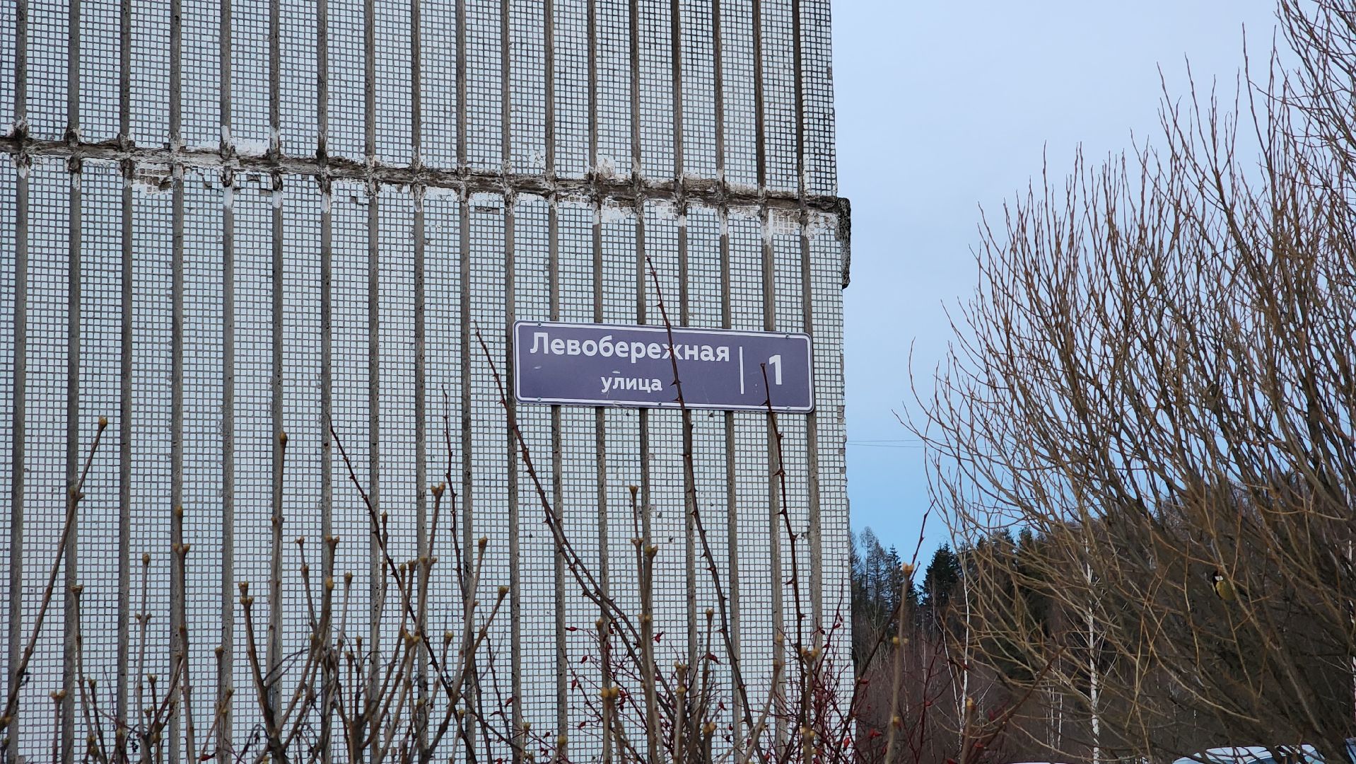 Солнечногорск, Менделеево, ЖКХ, мусор, контейнерная площадка,